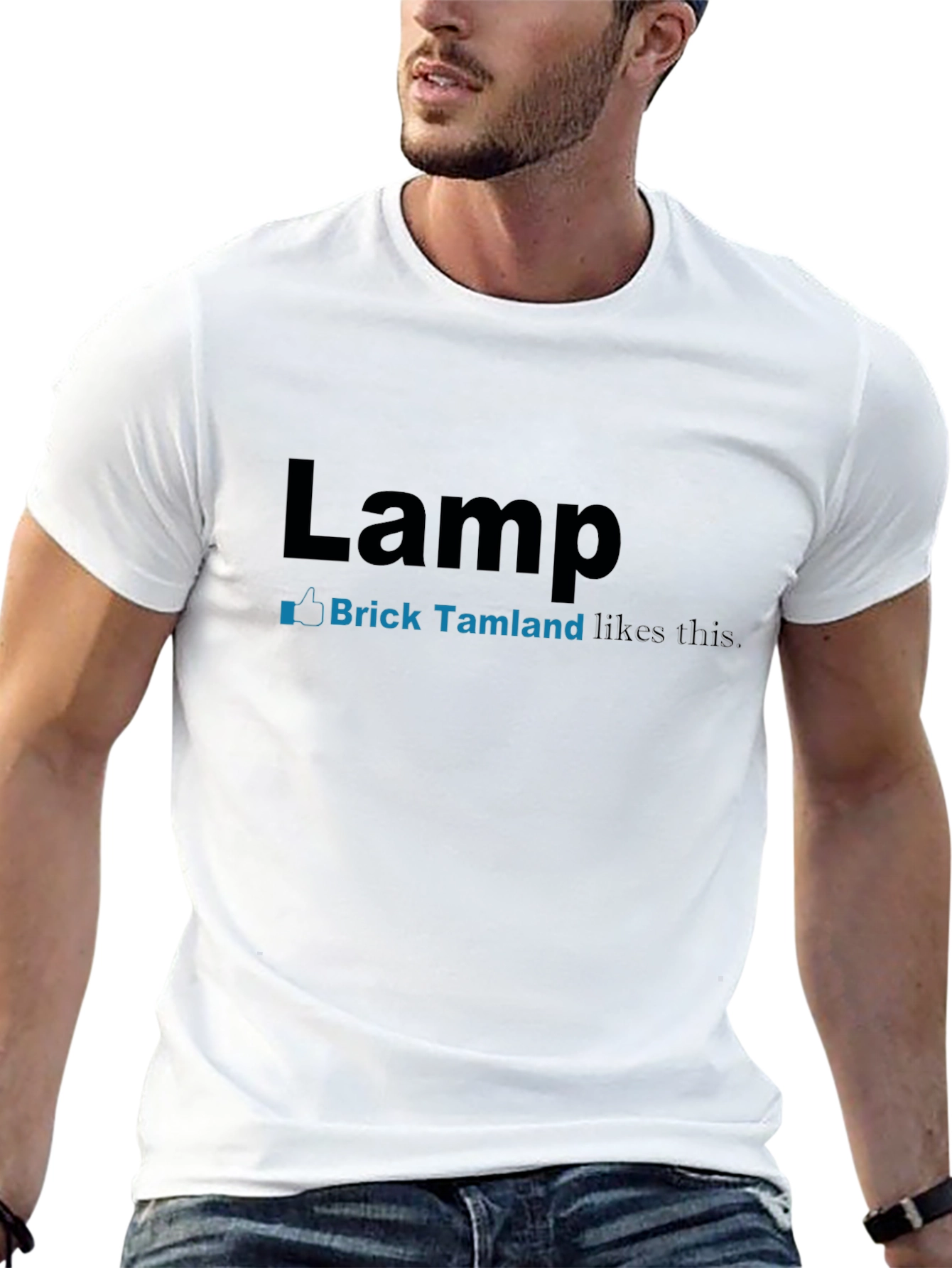 Lamp Brick Tamland T-Shirt