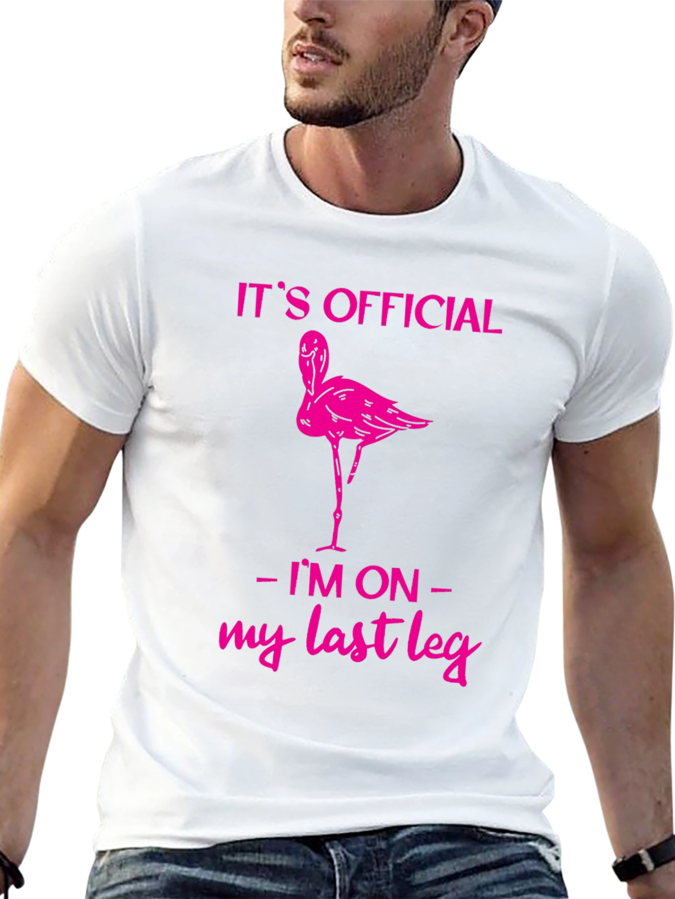 Funny Flamingo Last Leg T-Shirt