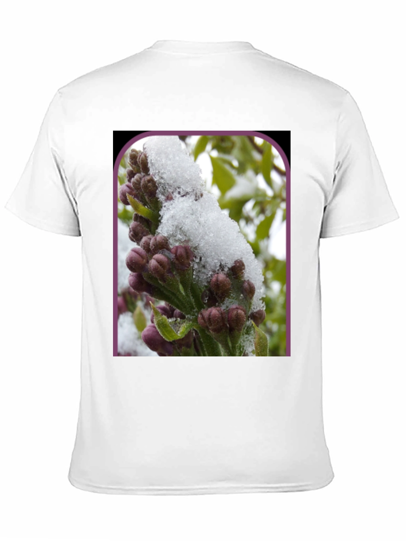 Lilac Bud Snow T-Shirt