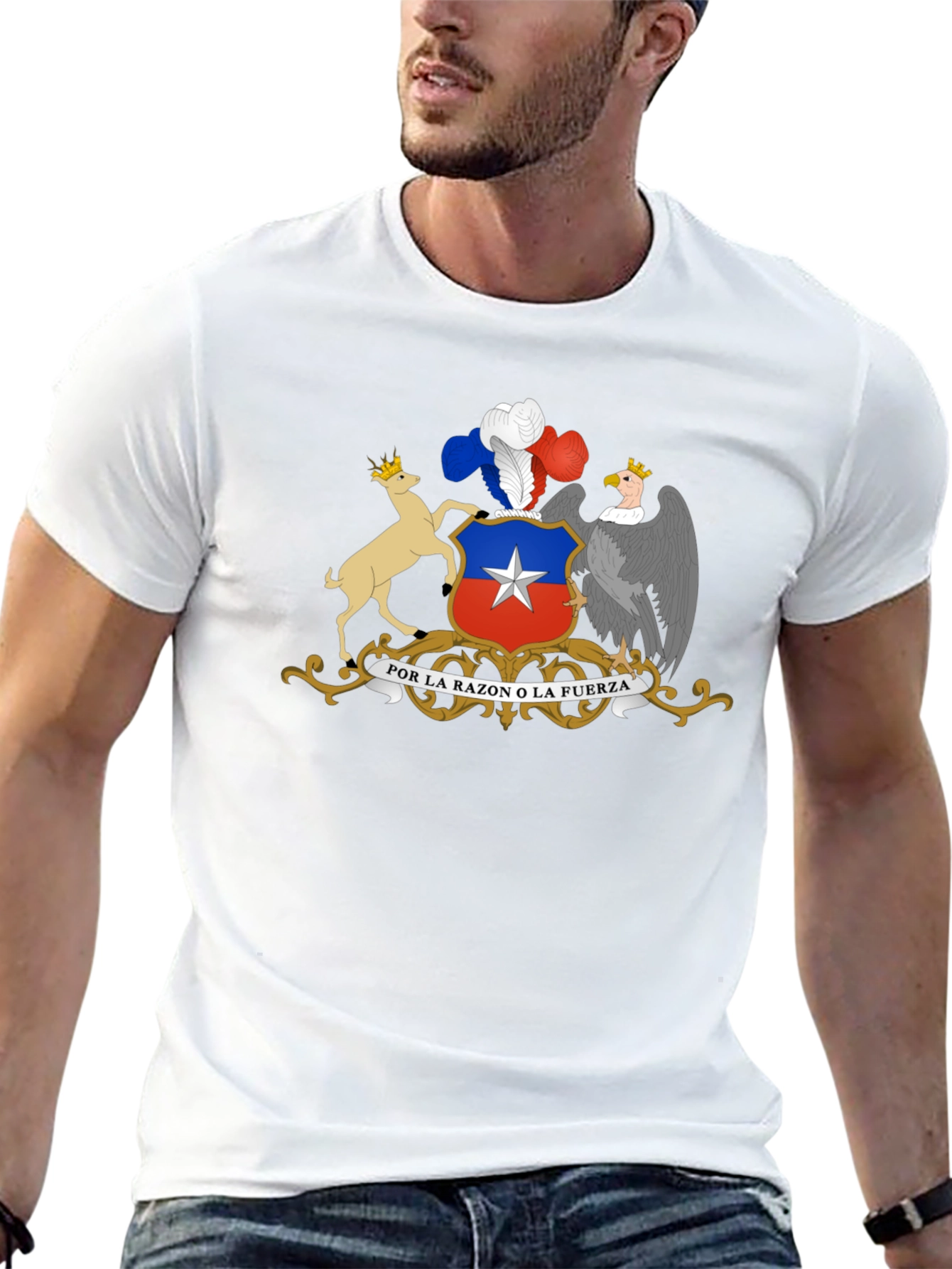 Chile Coat of Arms Graphic T-Shirt - Black