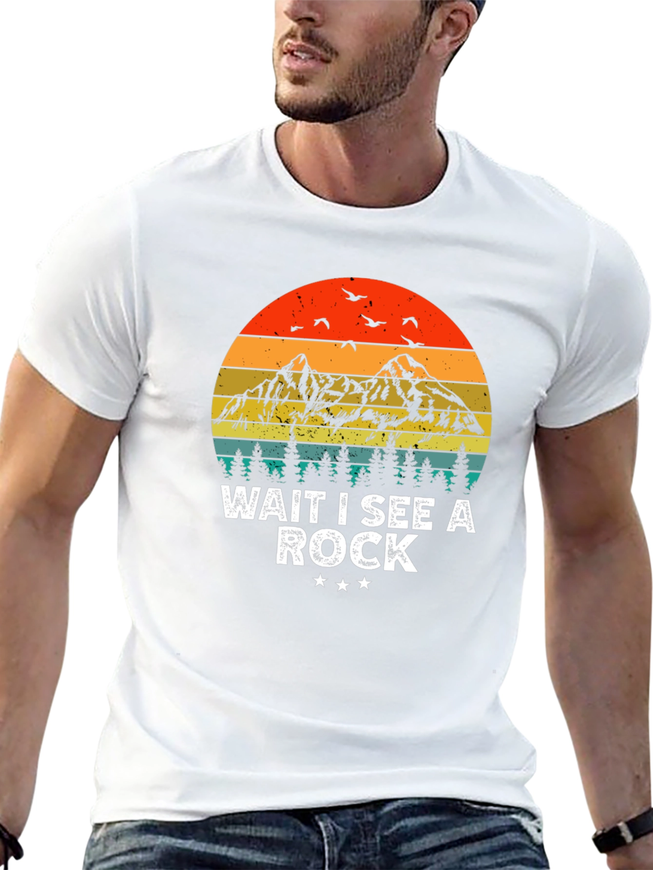 Wait I See a Rock T-Shirt - Mountain Sunset