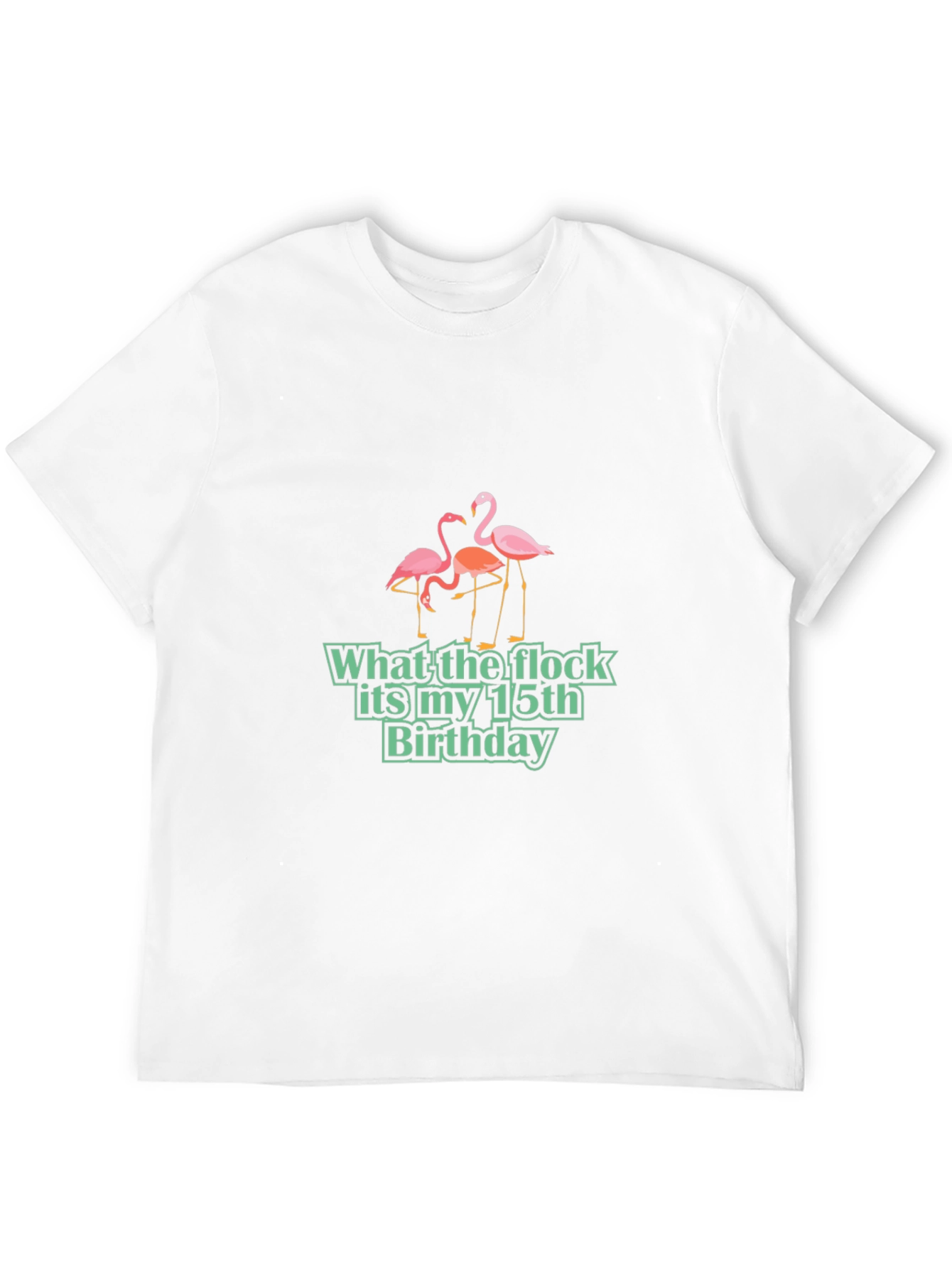 Funny Flamingo 15th Birthday T-Shirt