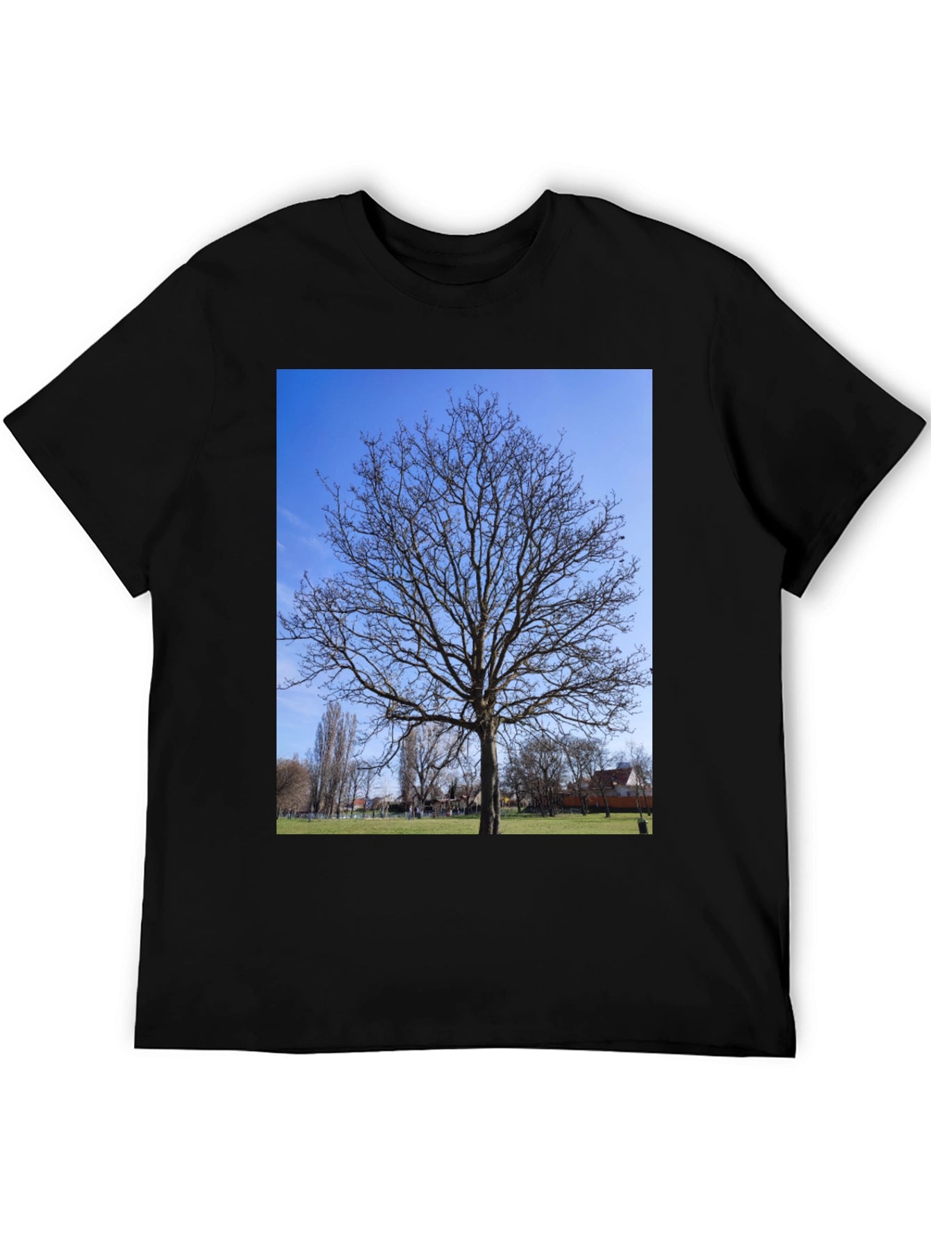 Nature Tree Graphic Black T-Shirt