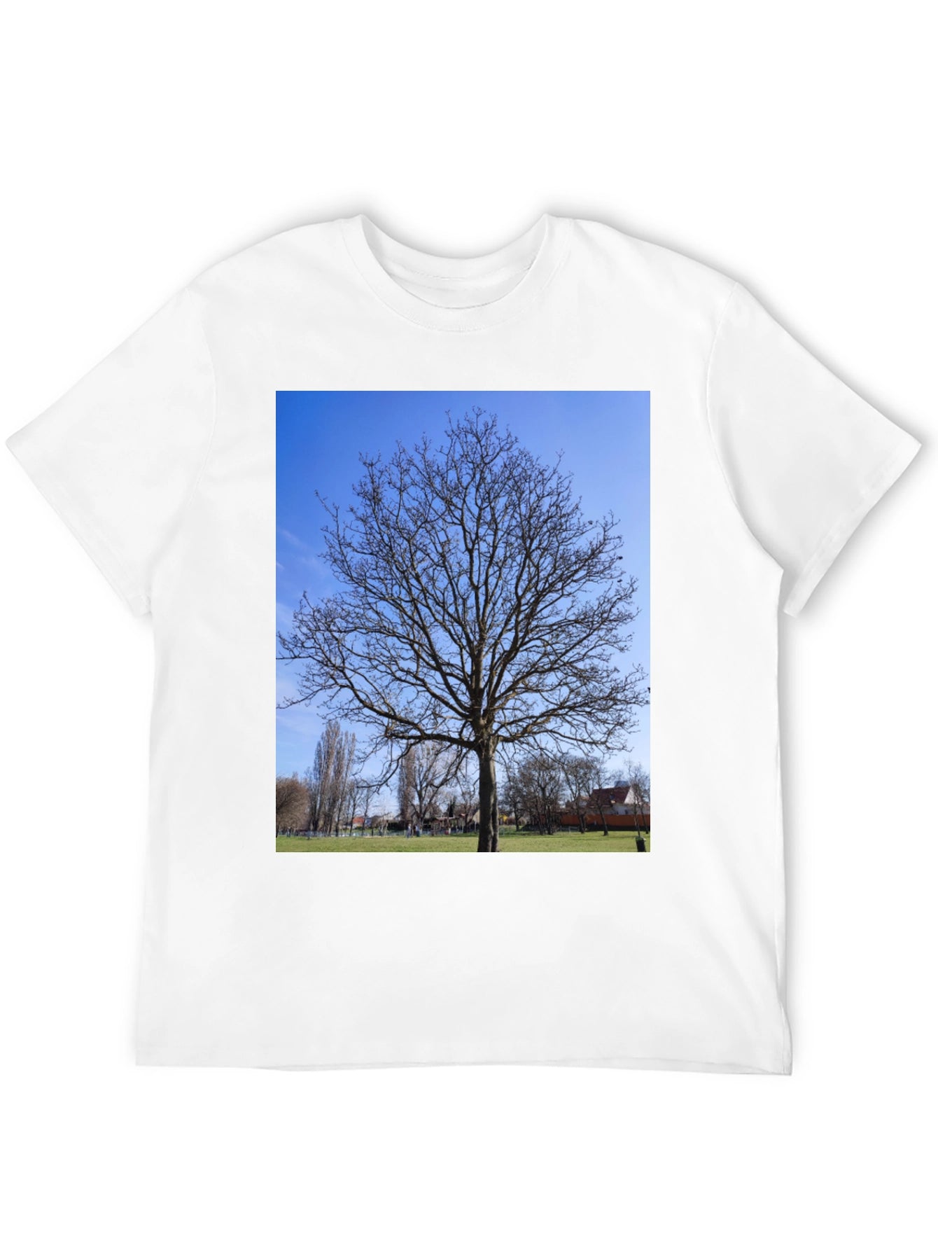Nature Tree Graphic Black T-Shirt