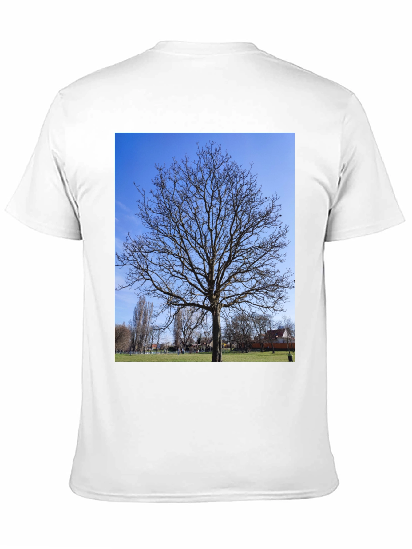 Nature Tree Graphic Black T-Shirt