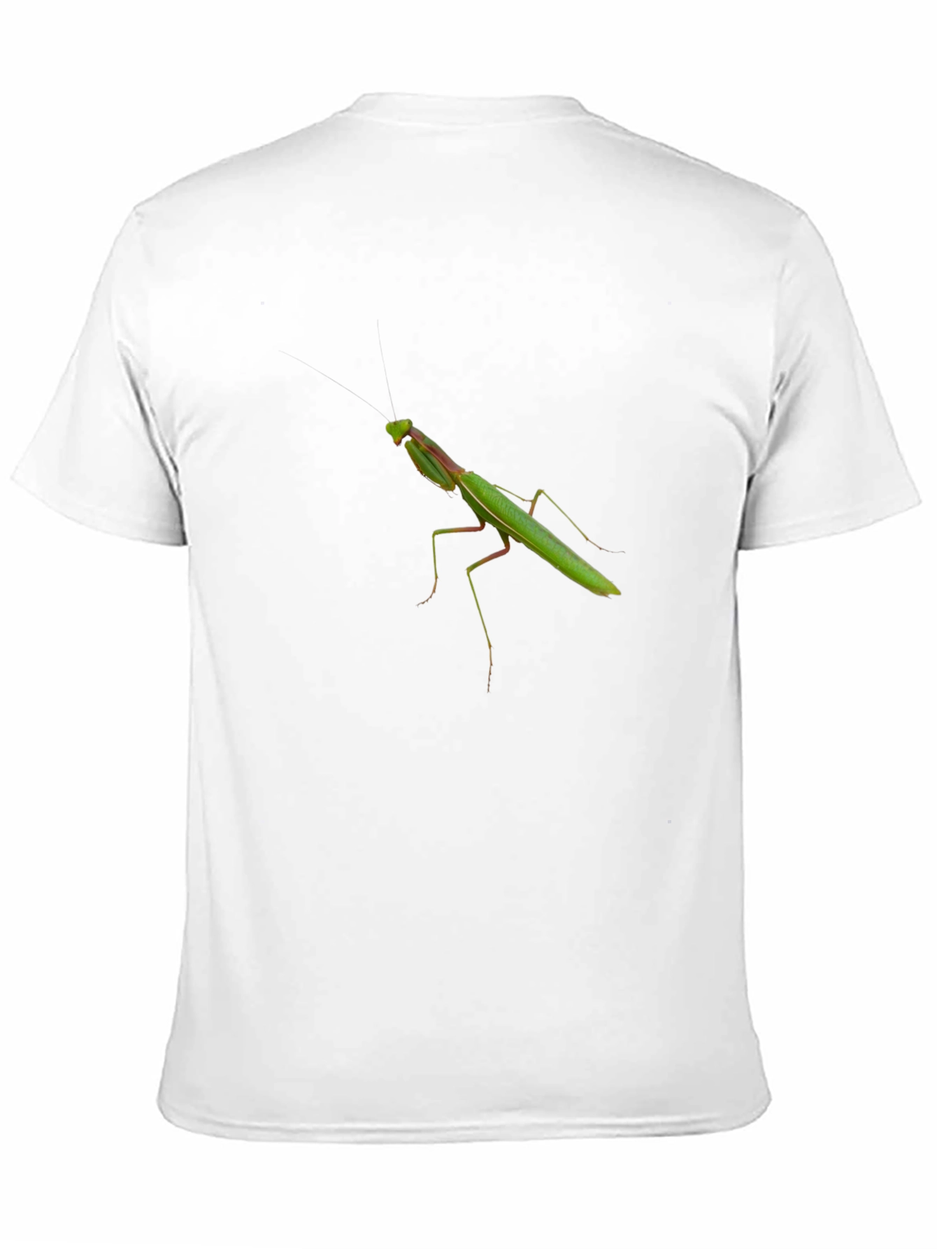 Mantis Graphic Black T-Shirt