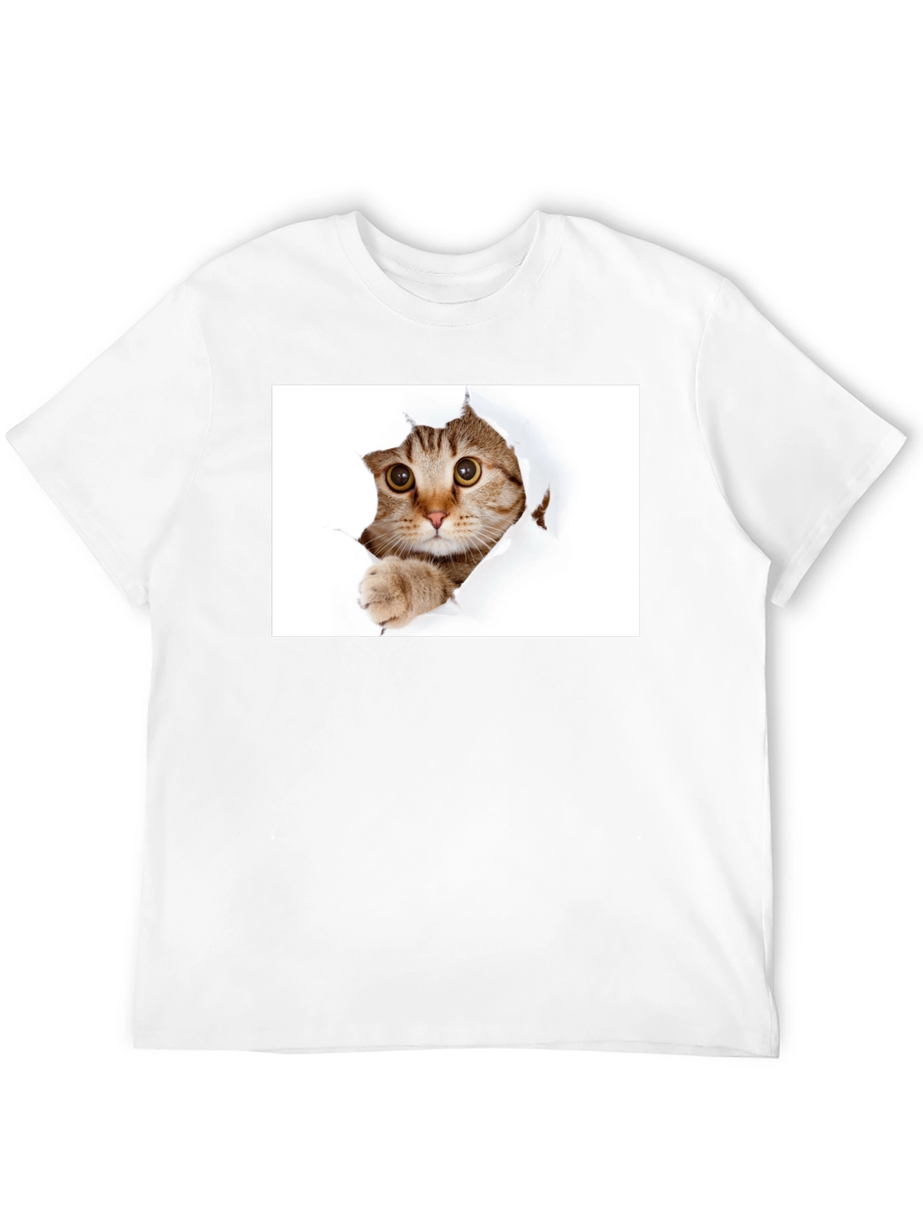 Cat Peekaboo Black T-Shirt - Unique Graphic Tee