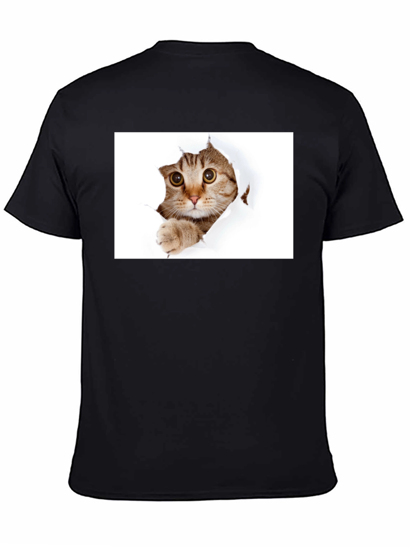 Cat Peekaboo Black T-Shirt - Unique Graphic Tee