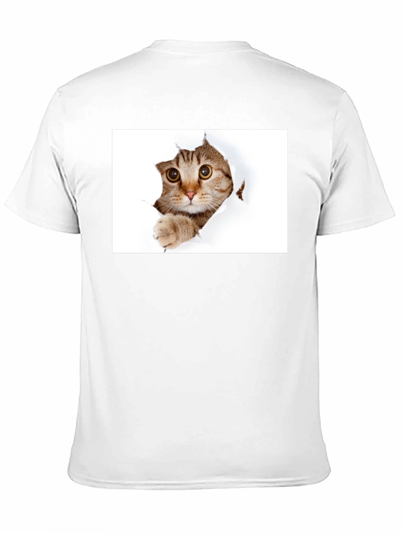 Cat Peekaboo Black T-Shirt - Unique Graphic Tee