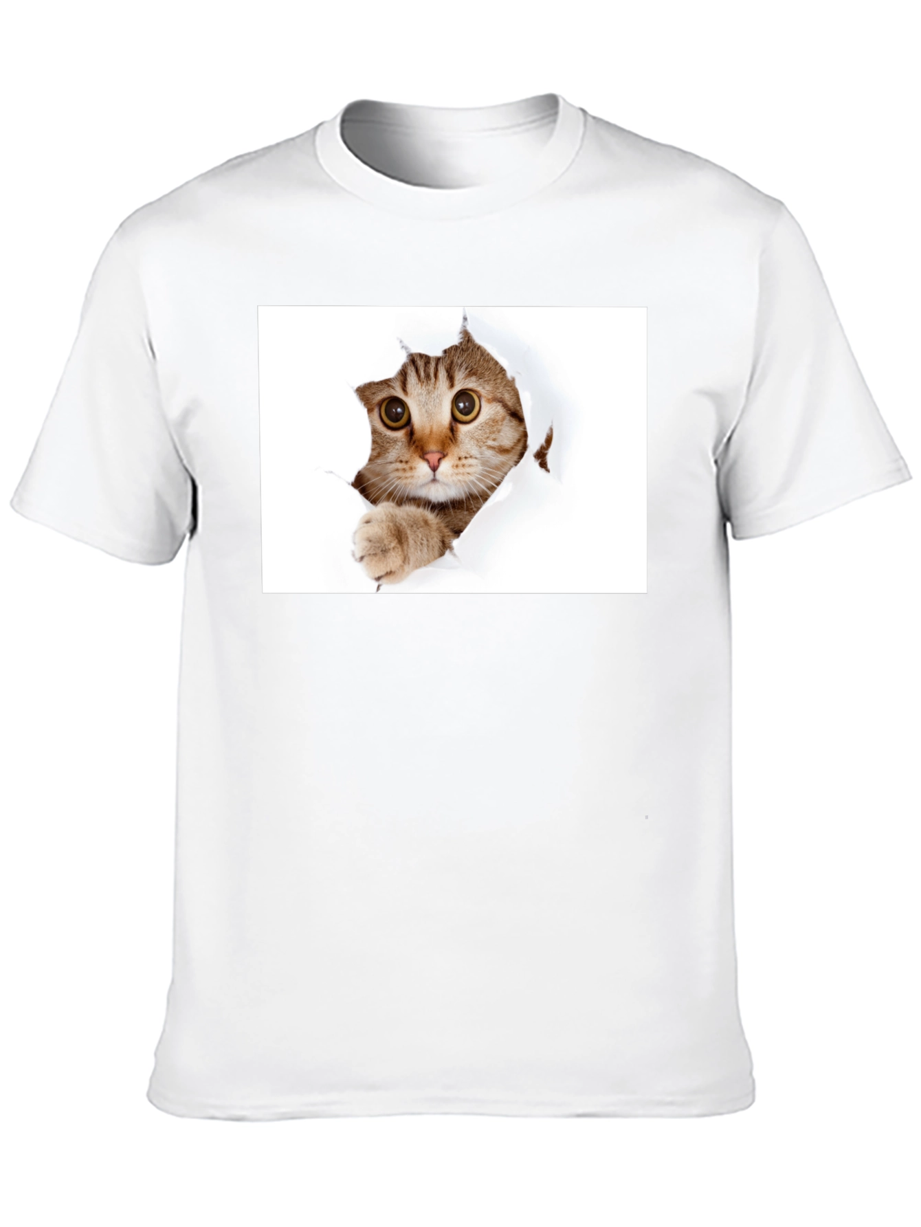 Cat Peekaboo Black T-Shirt - Unique Graphic Tee