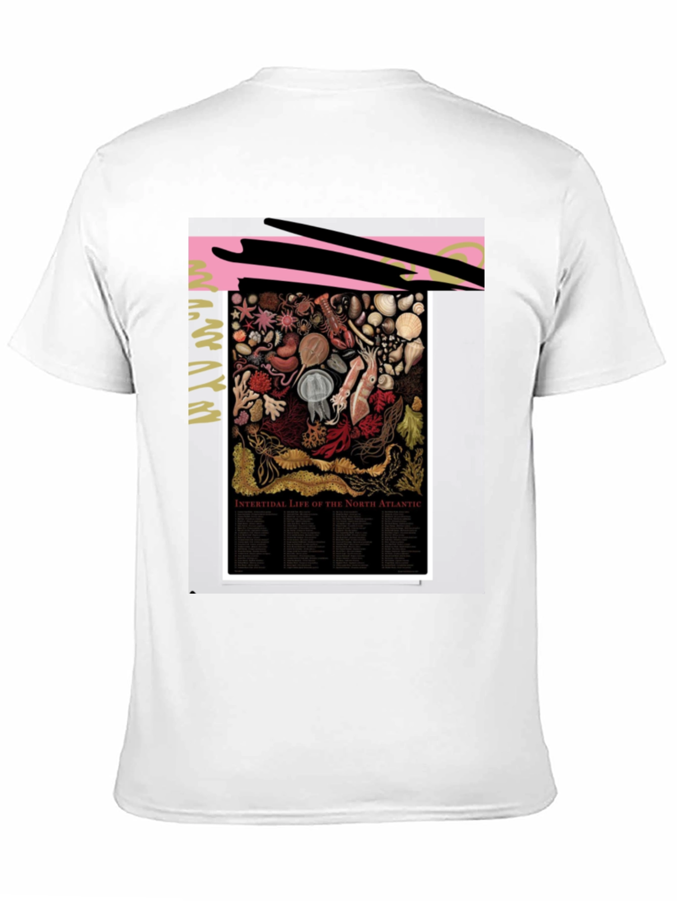 Intertidal Life of North Atlantic Graphic Tee