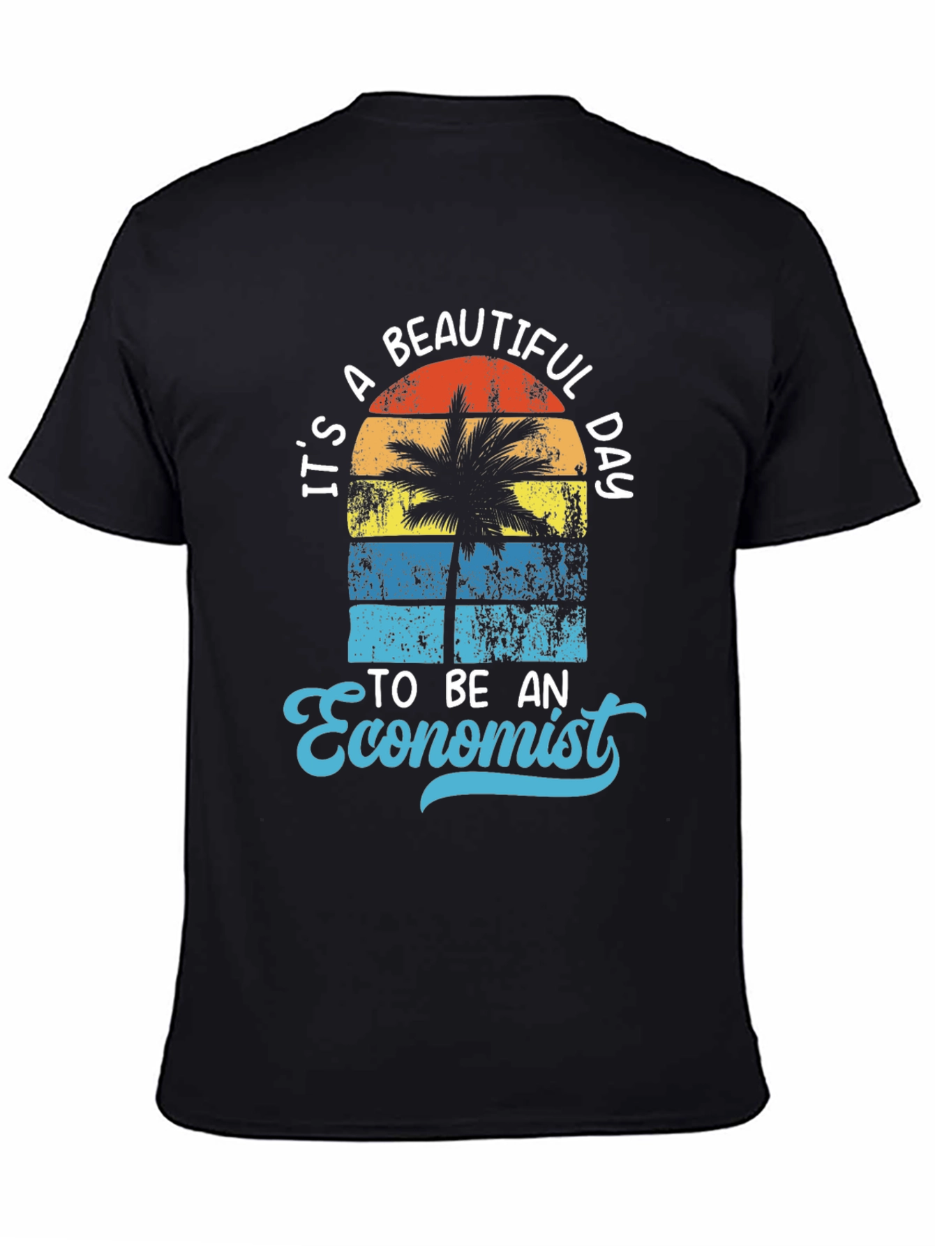 Its a Beautiful Day to be an Economist T-Shirt