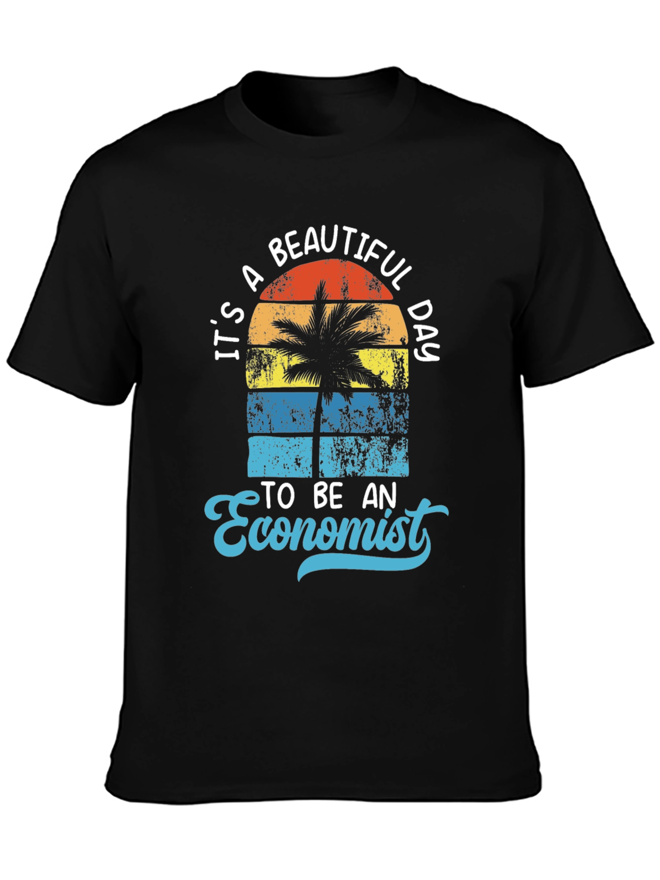 Its a Beautiful Day to be an Economist T-Shirt