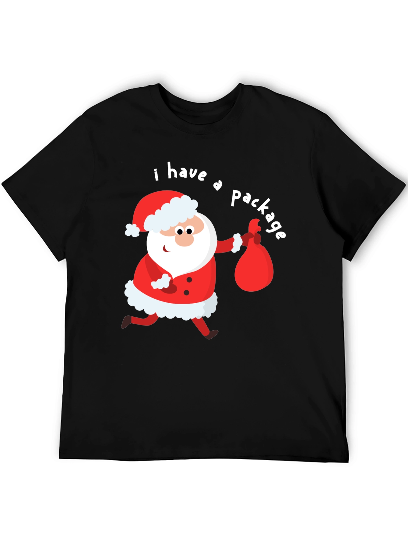 Funny Santa I Have a Package Holiday T-Shirt