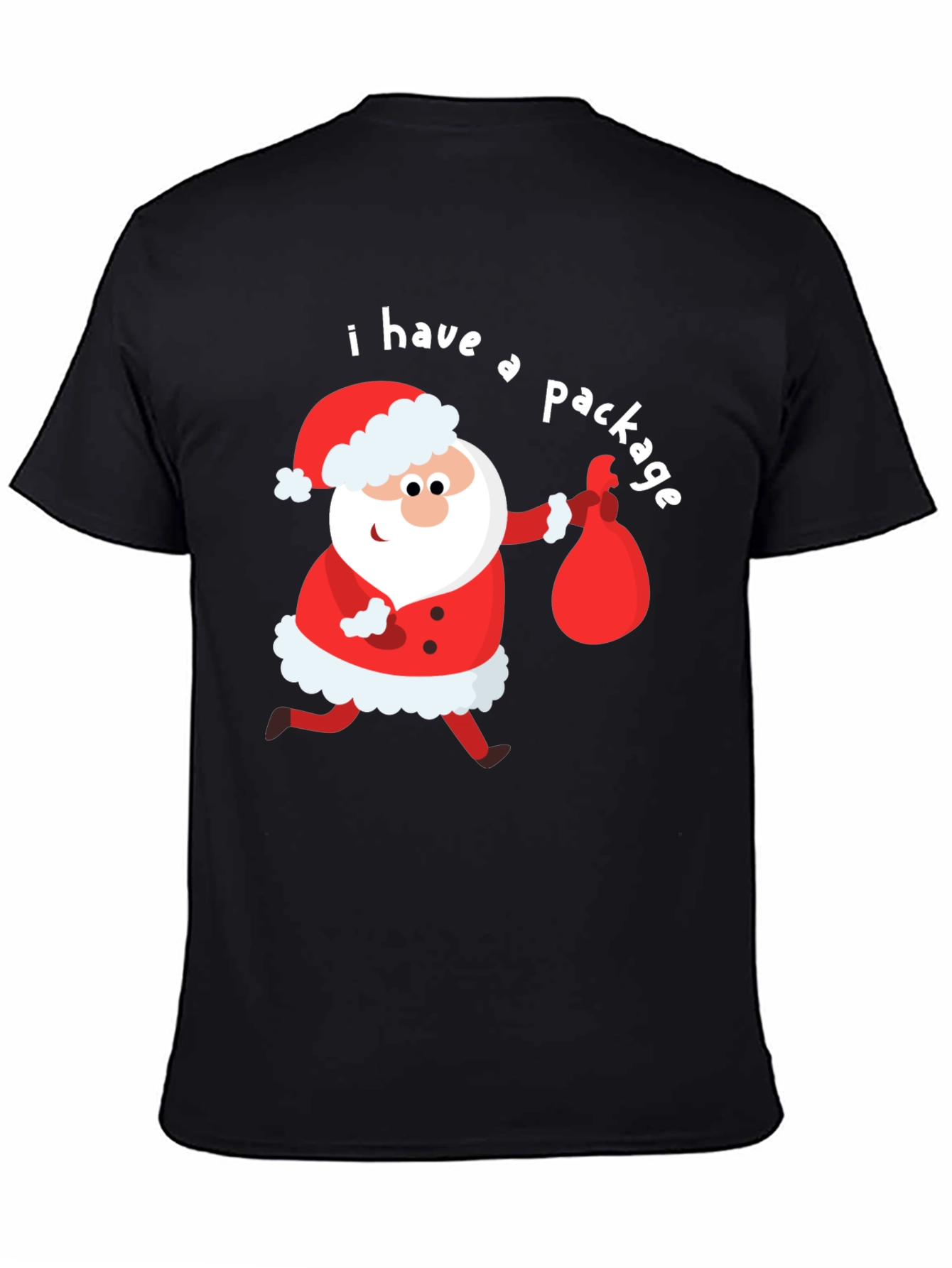 Funny Santa I Have a Package Holiday T-Shirt