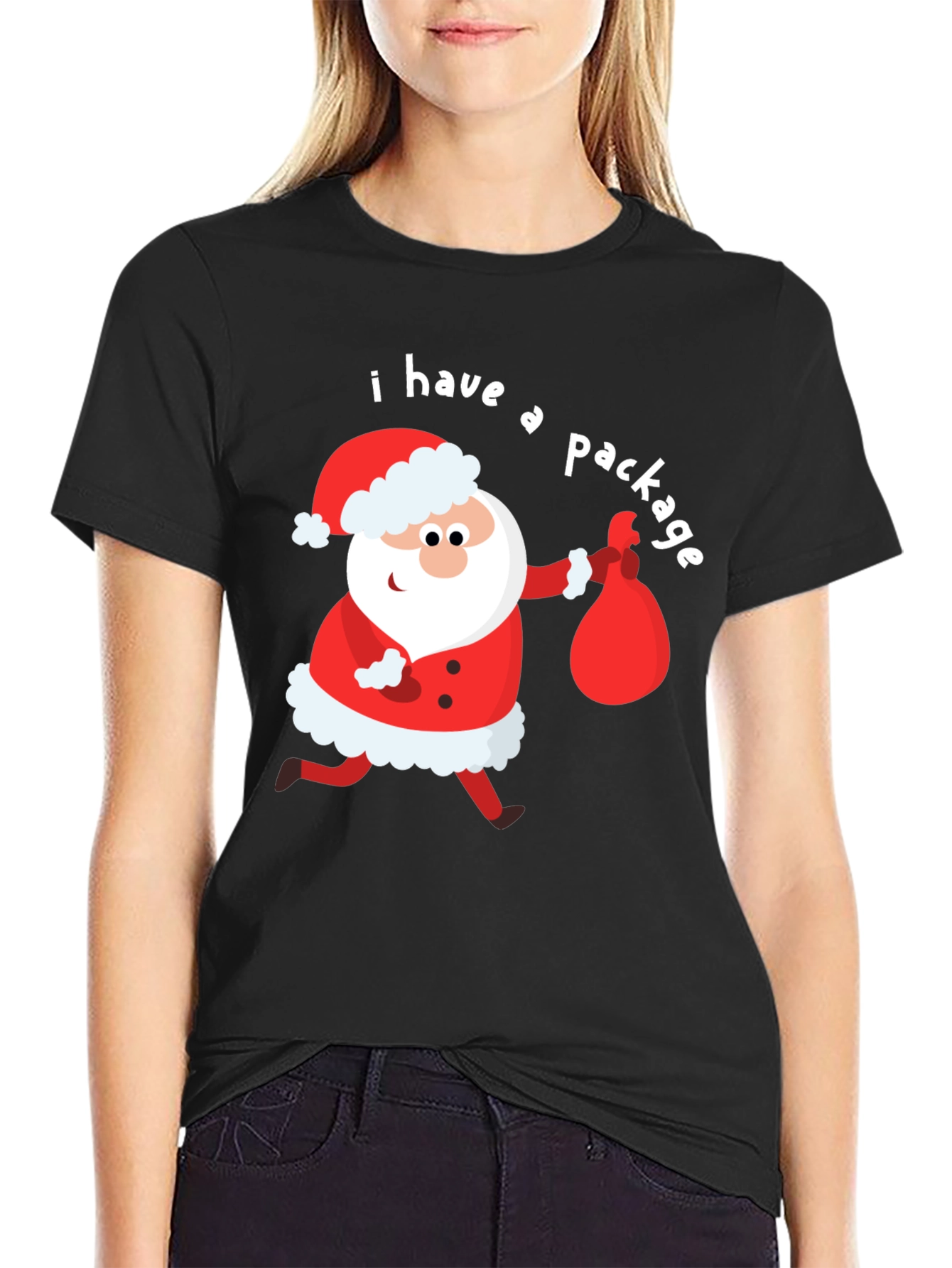 Funny Santa I Have a Package Holiday T-Shirt