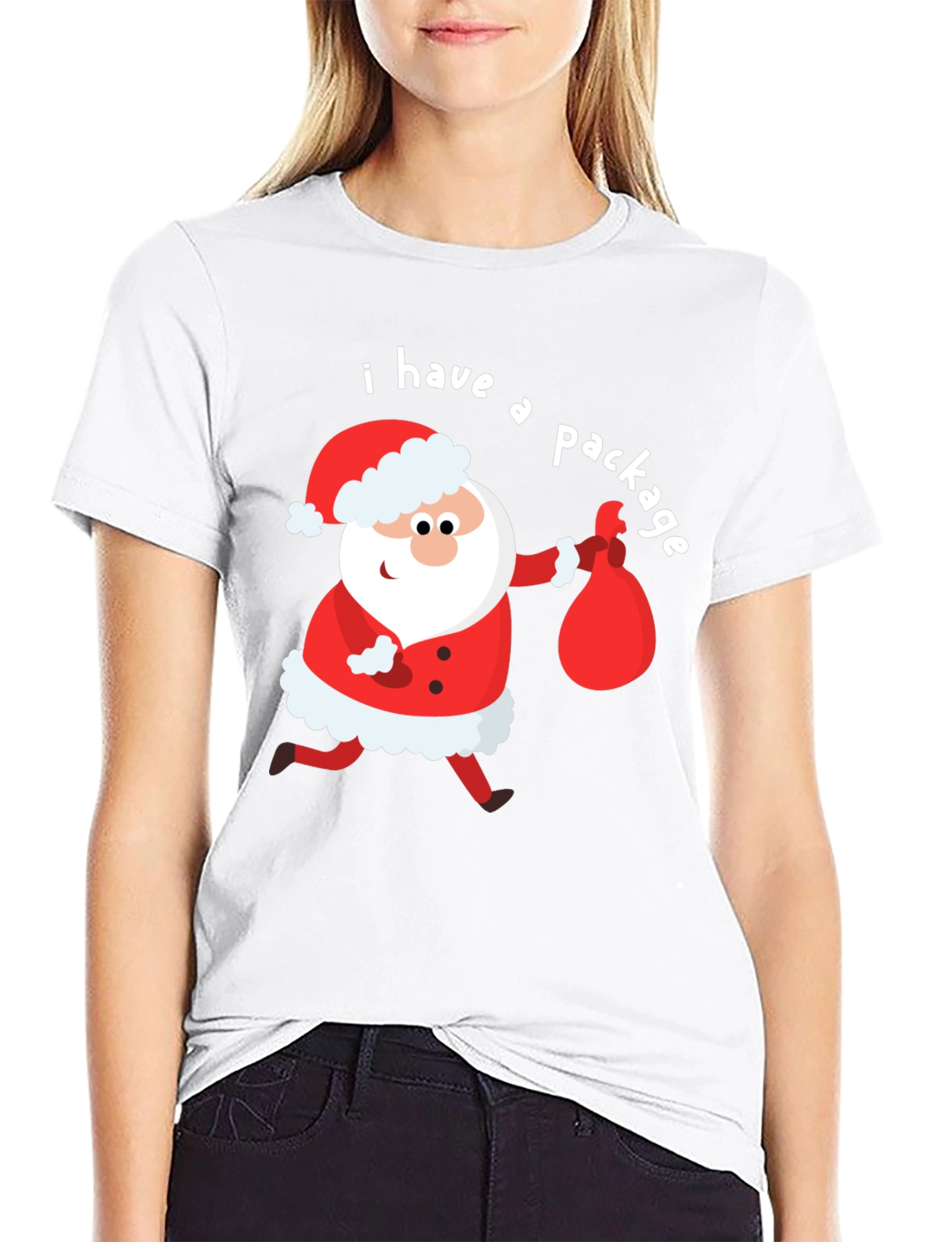 Funny Santa I Have a Package Holiday T-Shirt
