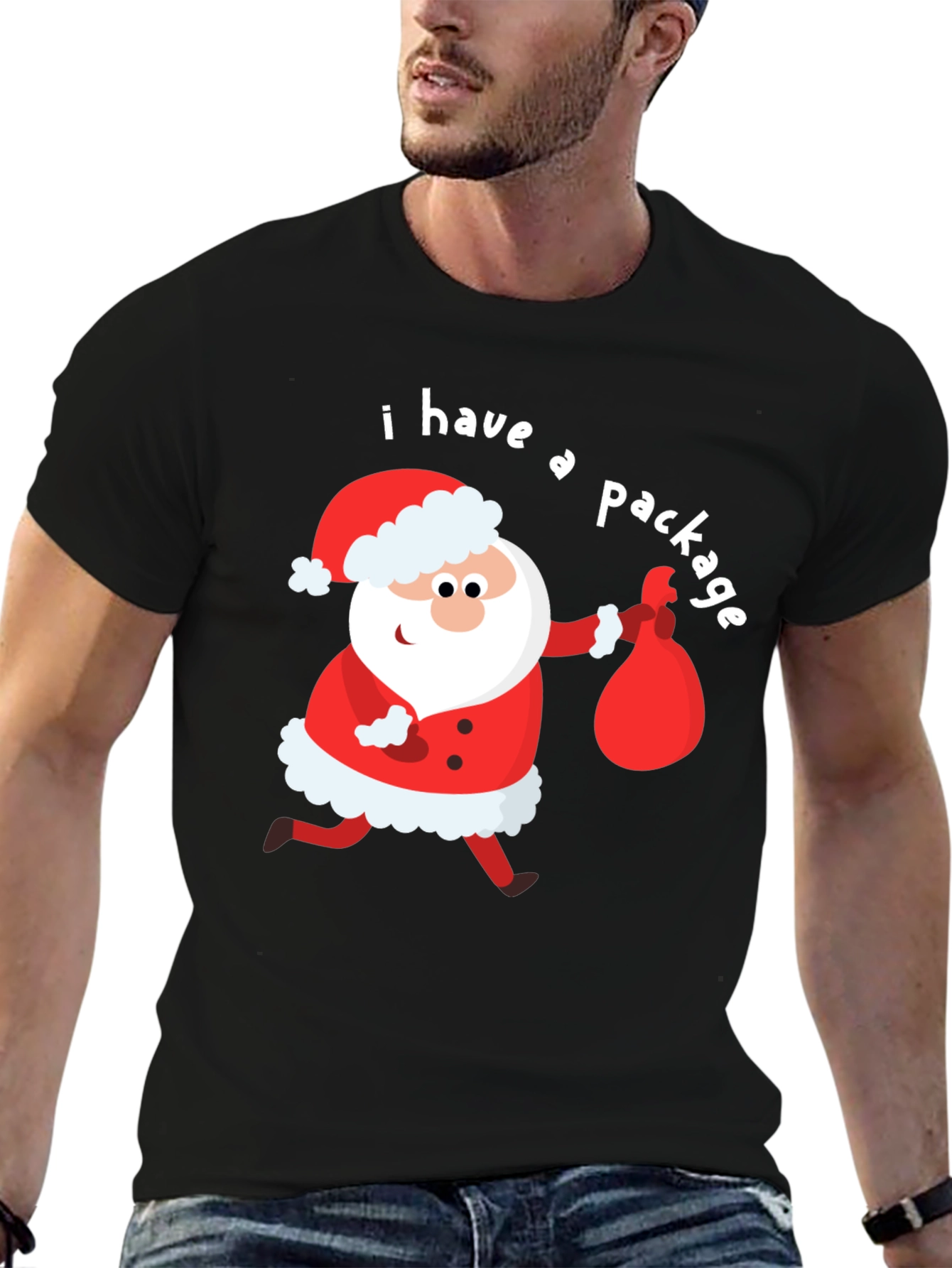 Funny Santa I Have a Package Holiday T-Shirt