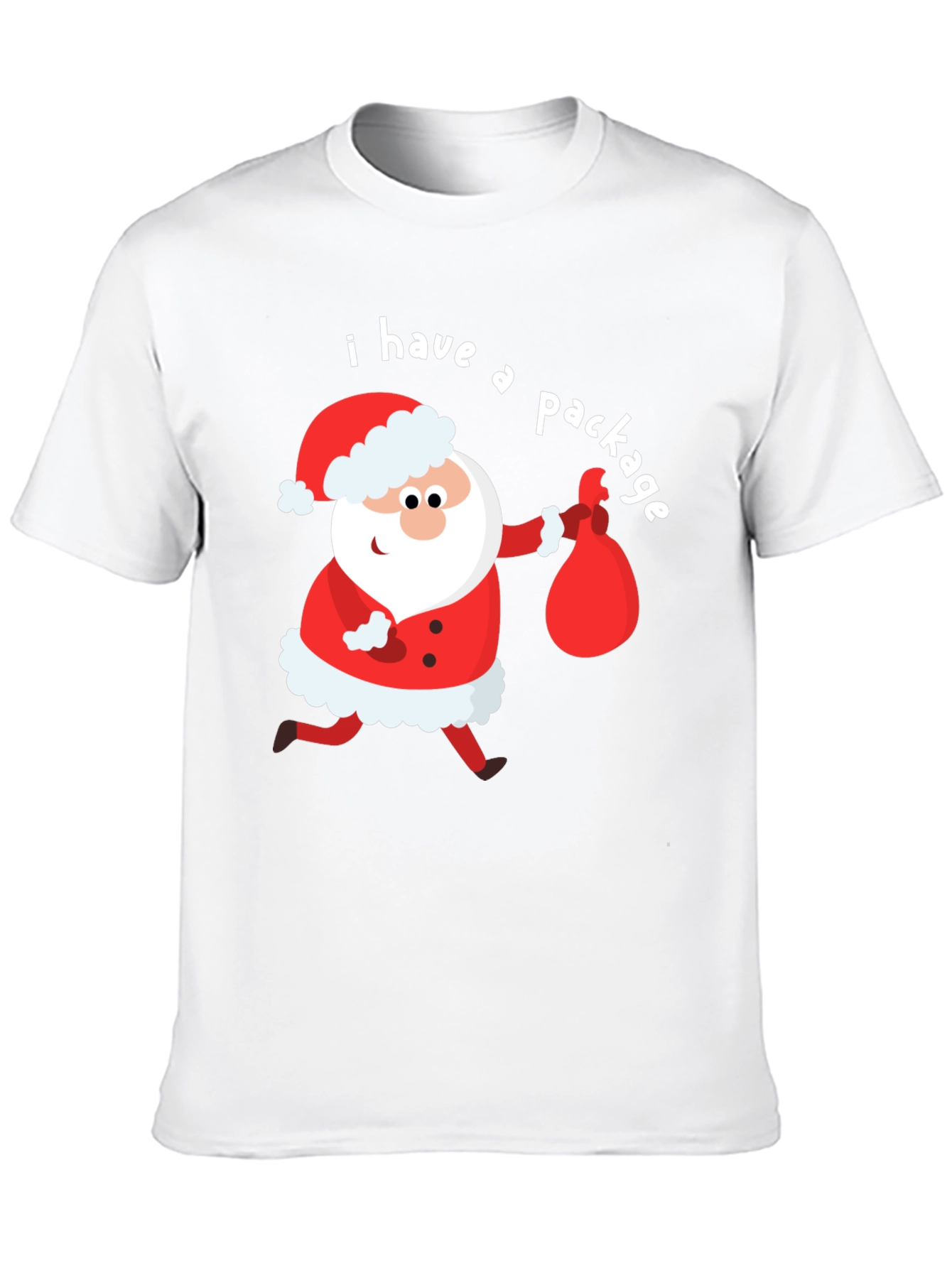 Funny Santa I Have a Package Holiday T-Shirt