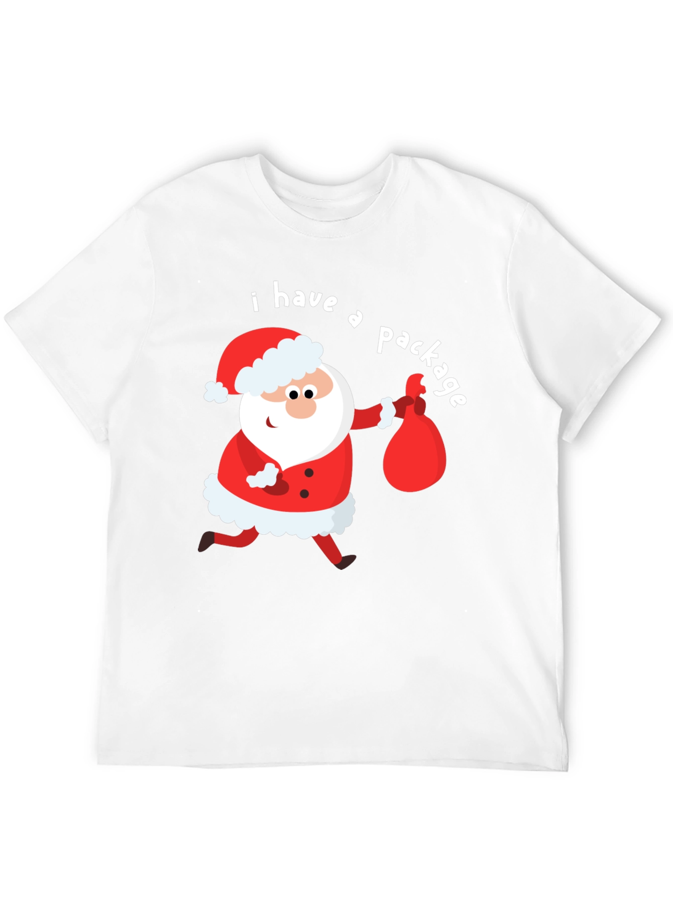 Funny Santa I Have a Package Holiday T-Shirt