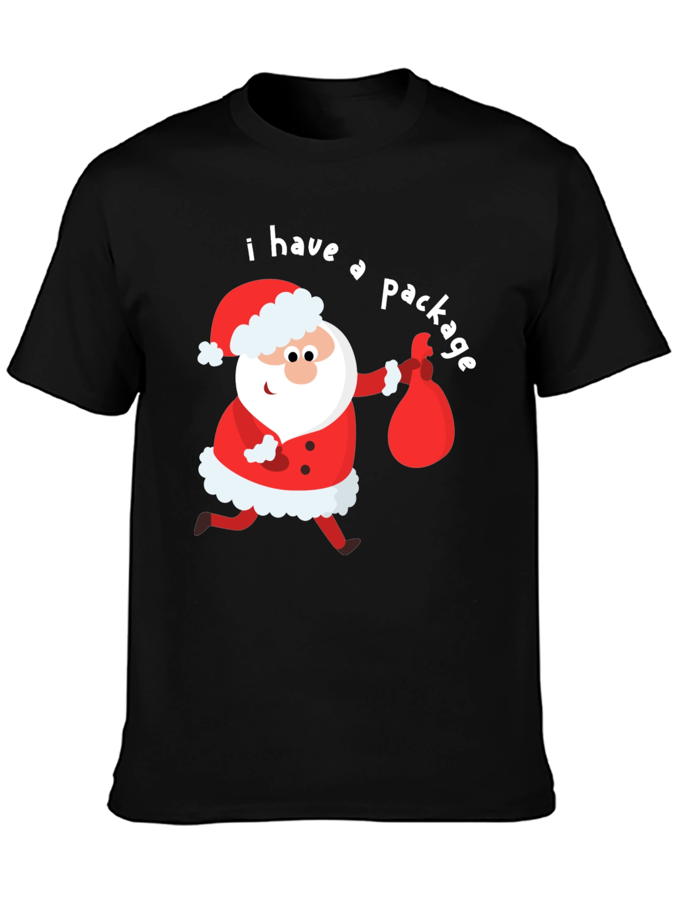 Funny Santa I Have a Package Holiday T-Shirt