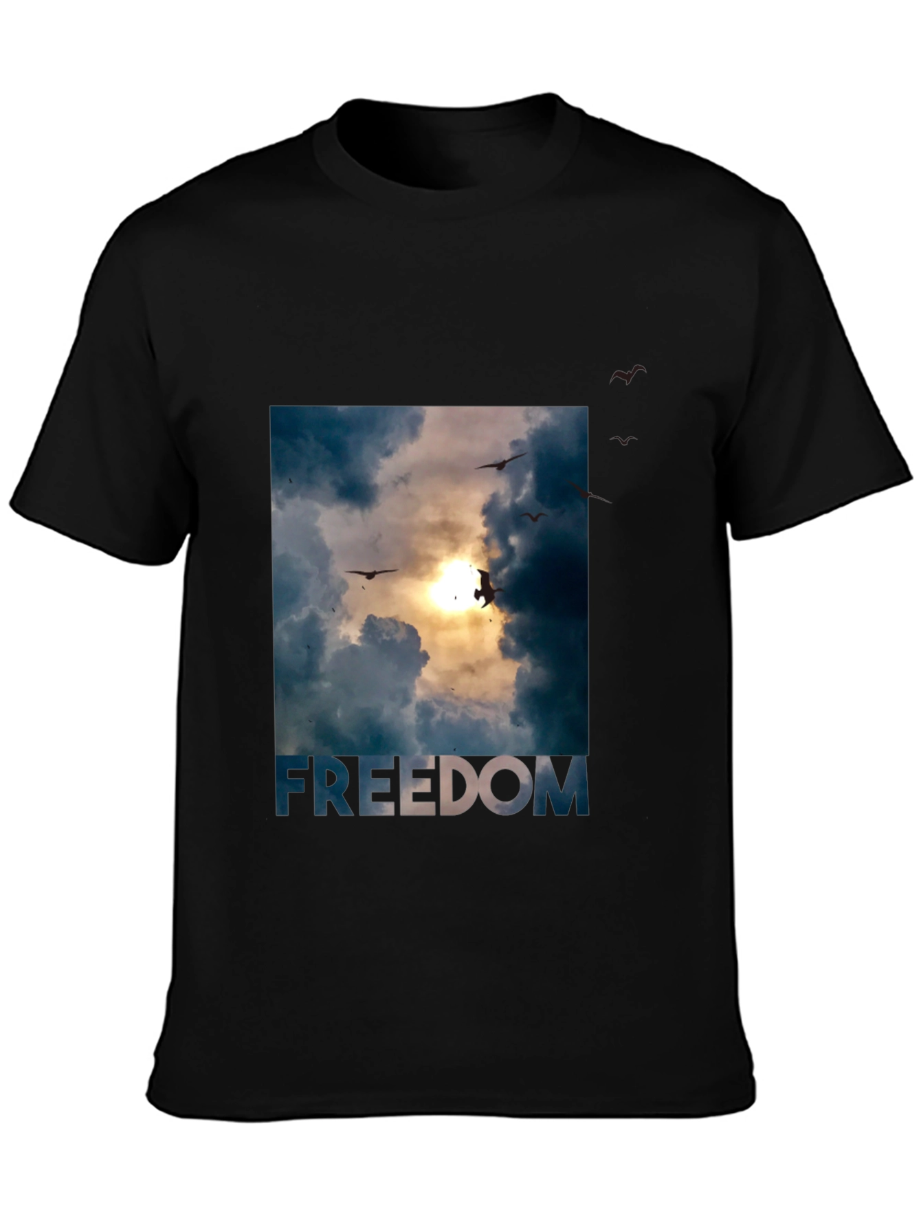 Freedom Graphic Tee - Sky and Birds Design