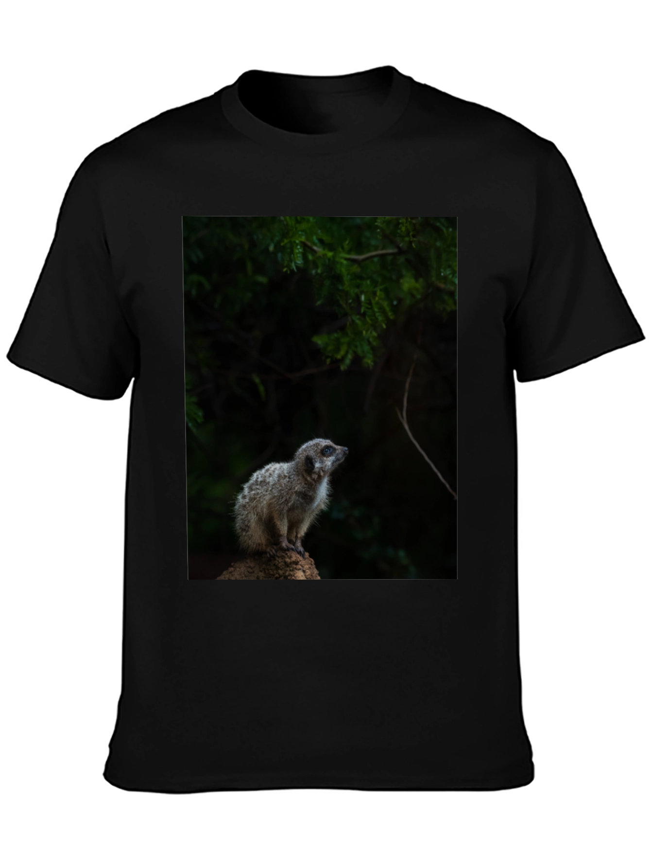 Meerkat Graphic Tee - Wildlife Animal Shirt