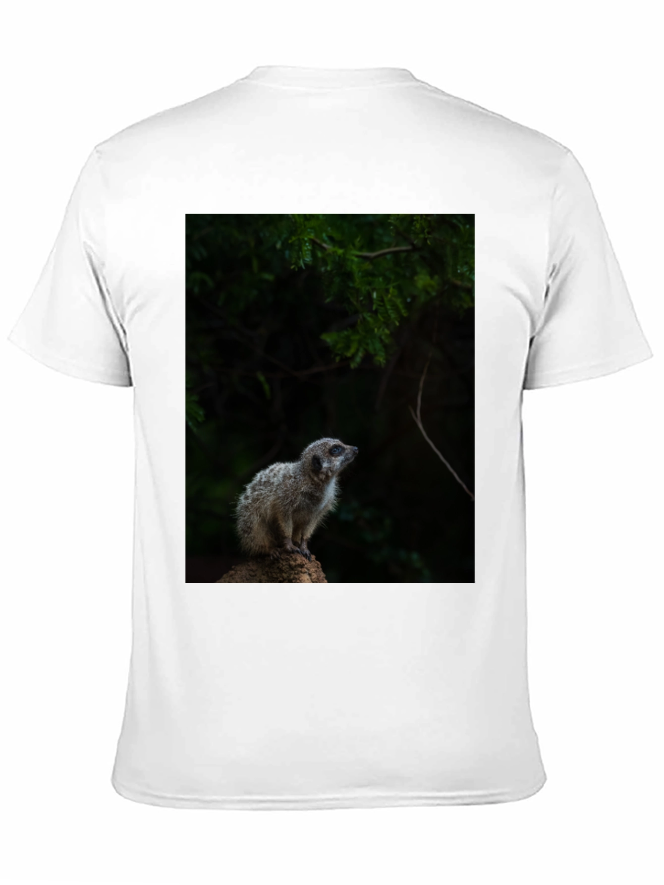 Meerkat Graphic Tee - Wildlife Animal Shirt