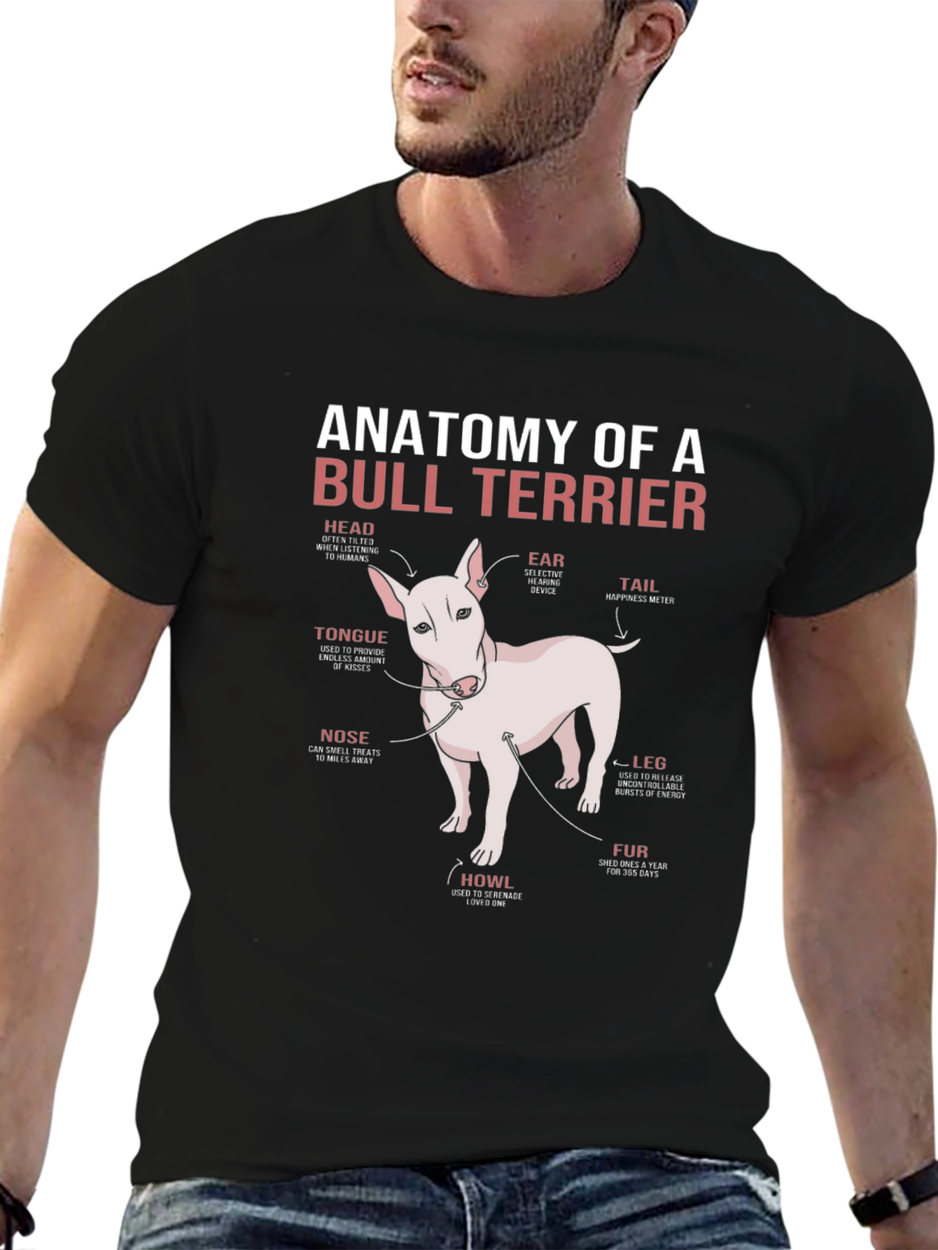 Anatomy of a Bull Terrier T-Shirt