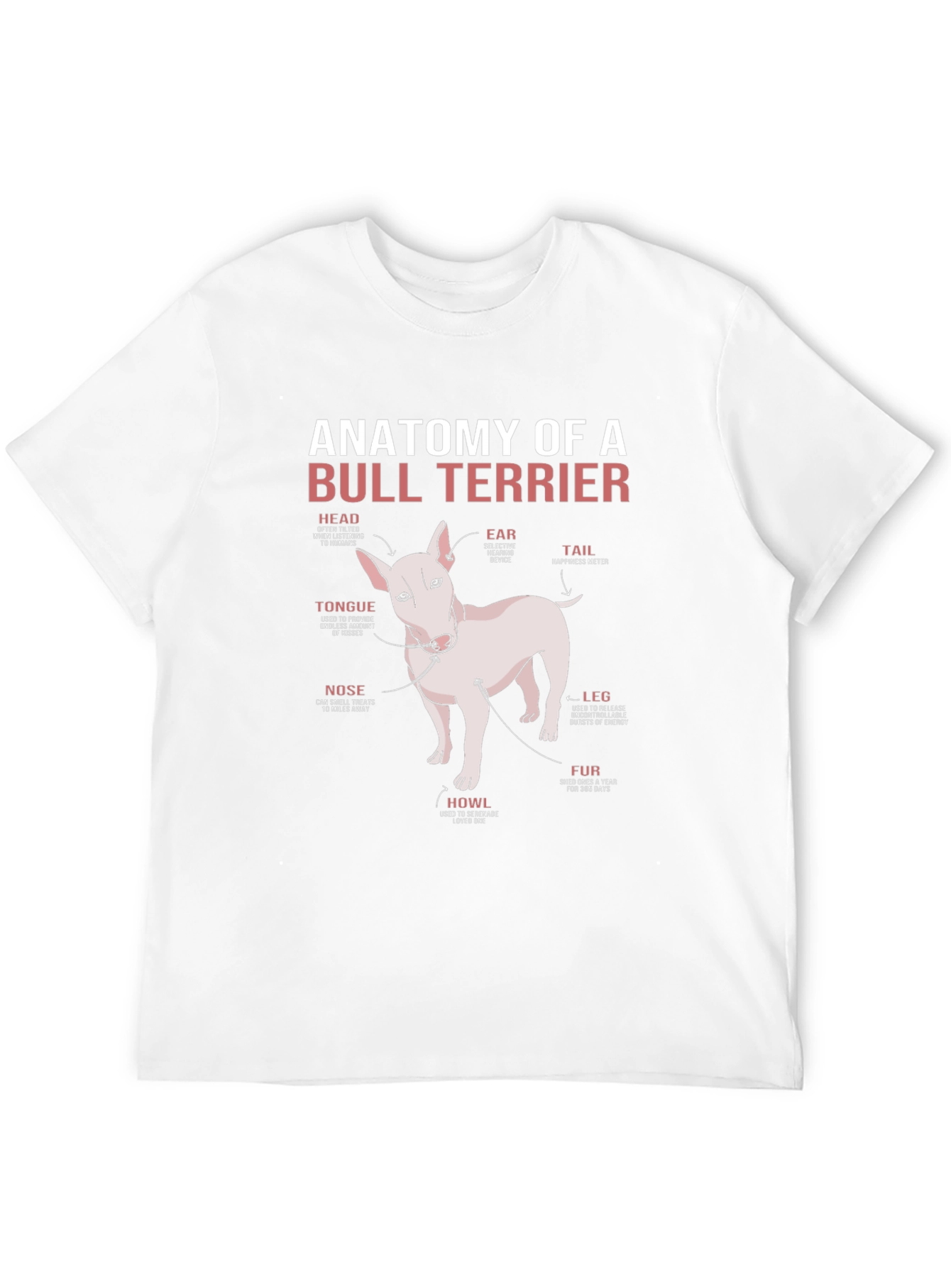 Anatomy of a Bull Terrier T-Shirt