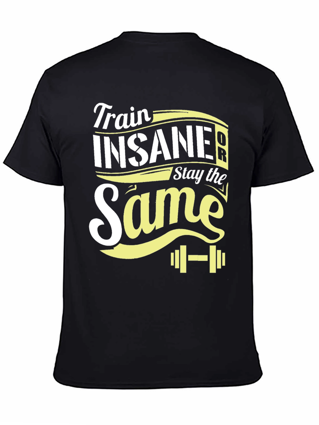 Train Insane or Stay the Same T-Shirt