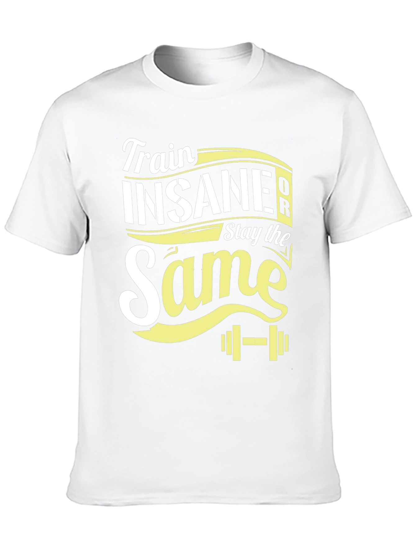 Train Insane or Stay the Same T-Shirt