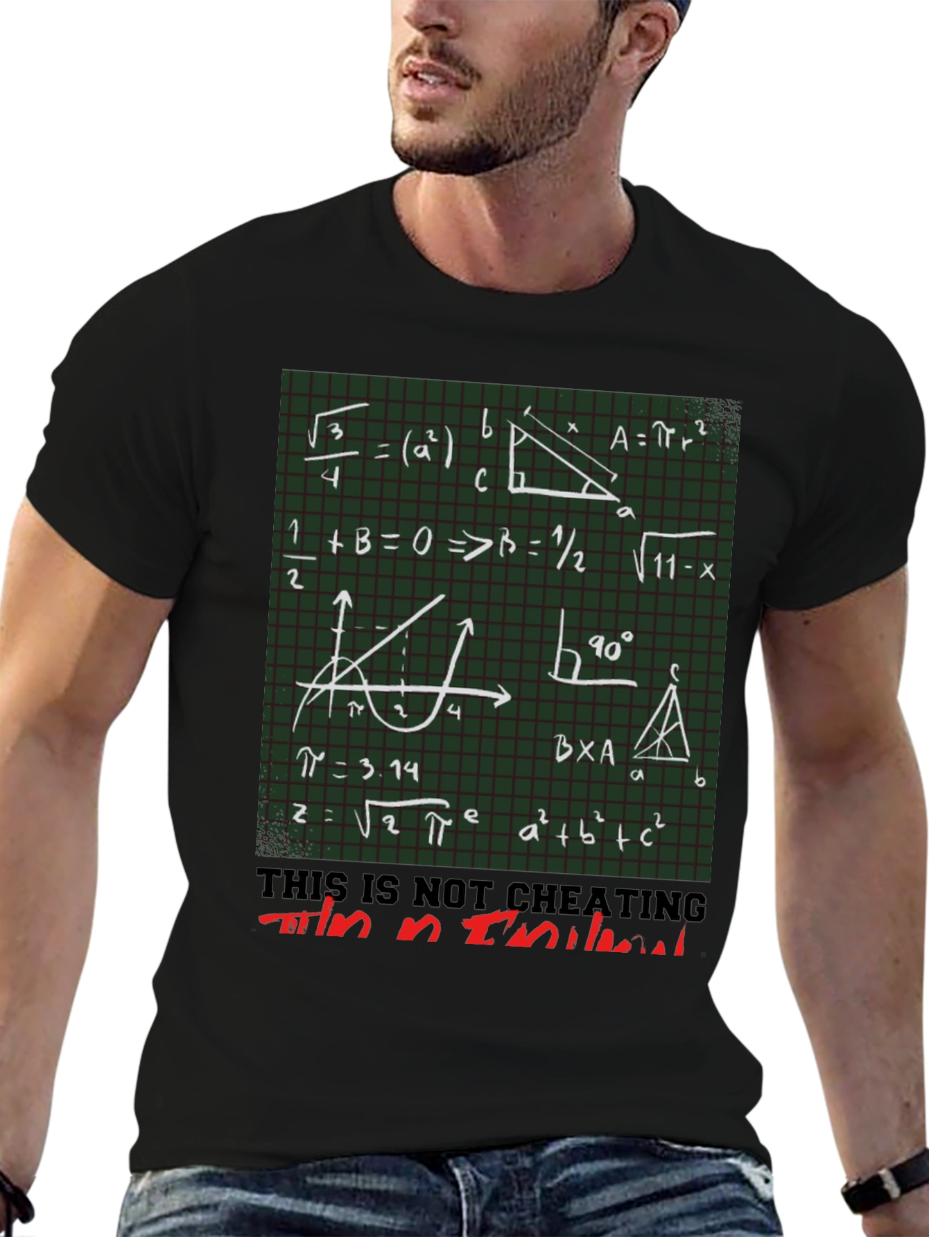 Math Equation Graphic T-Shirt - Im an Intellectual Tee