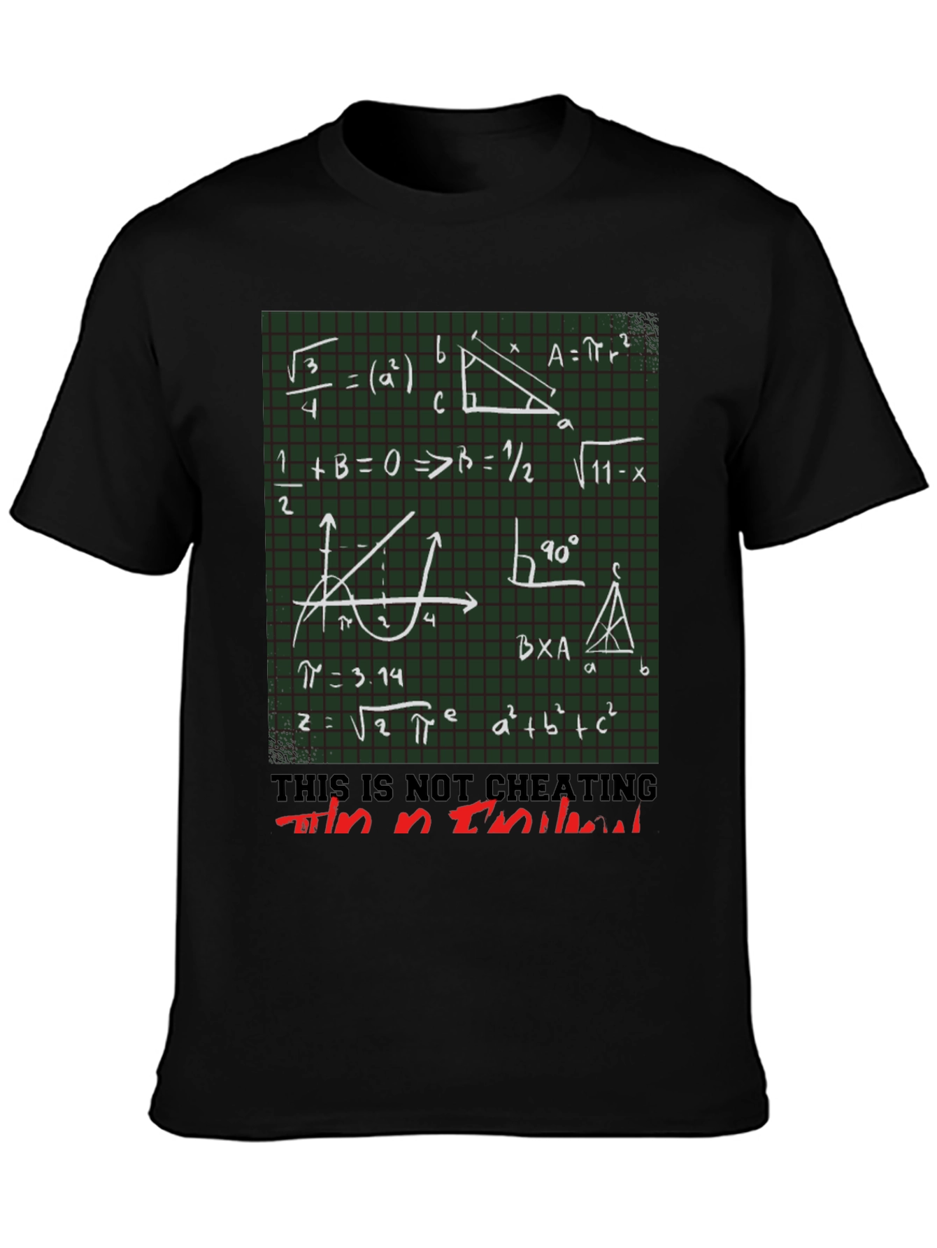 Math Equation Graphic T-Shirt - Im an Intellectual Tee