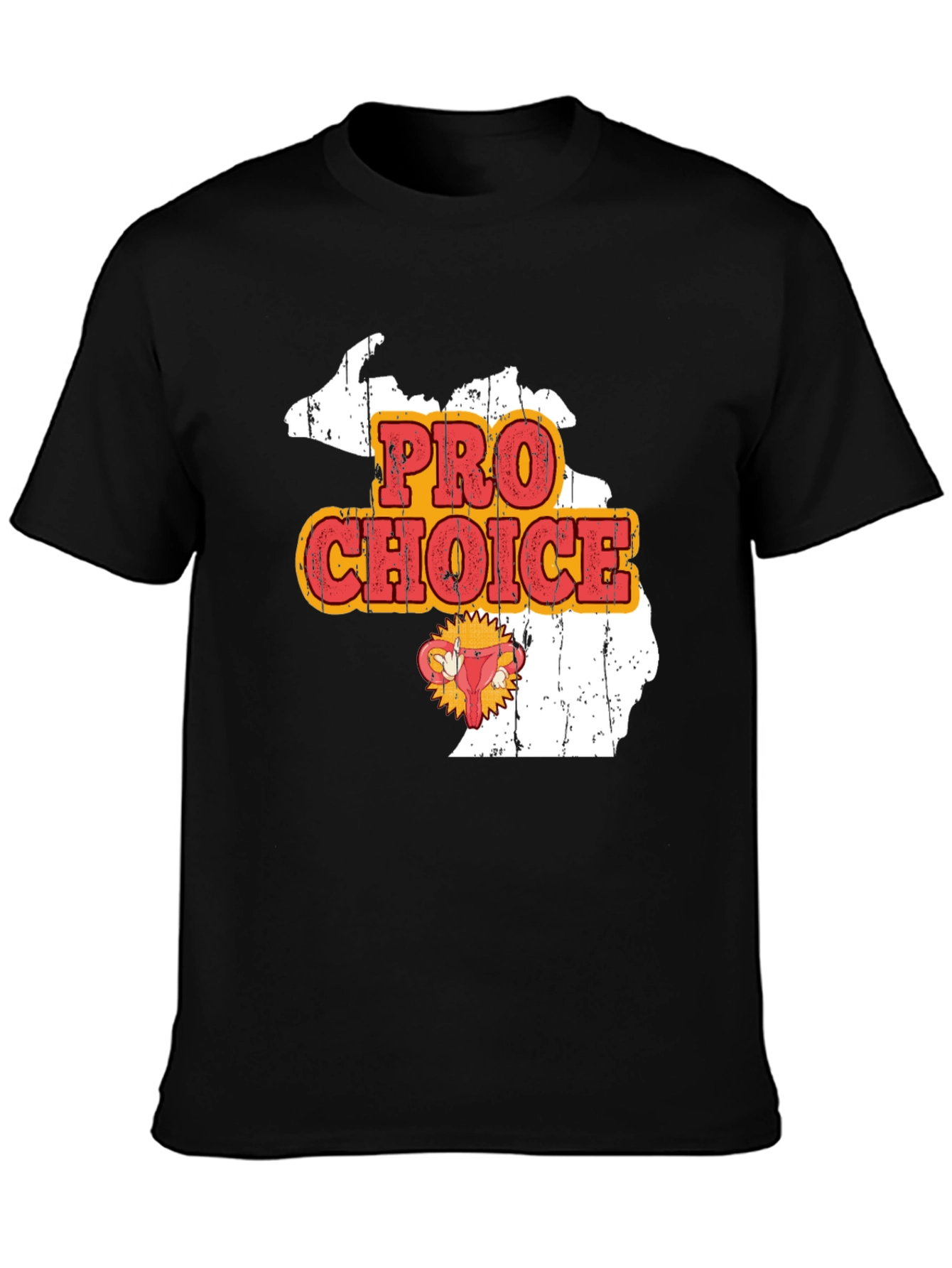 Pro-Choice Michigan State T-Shirt