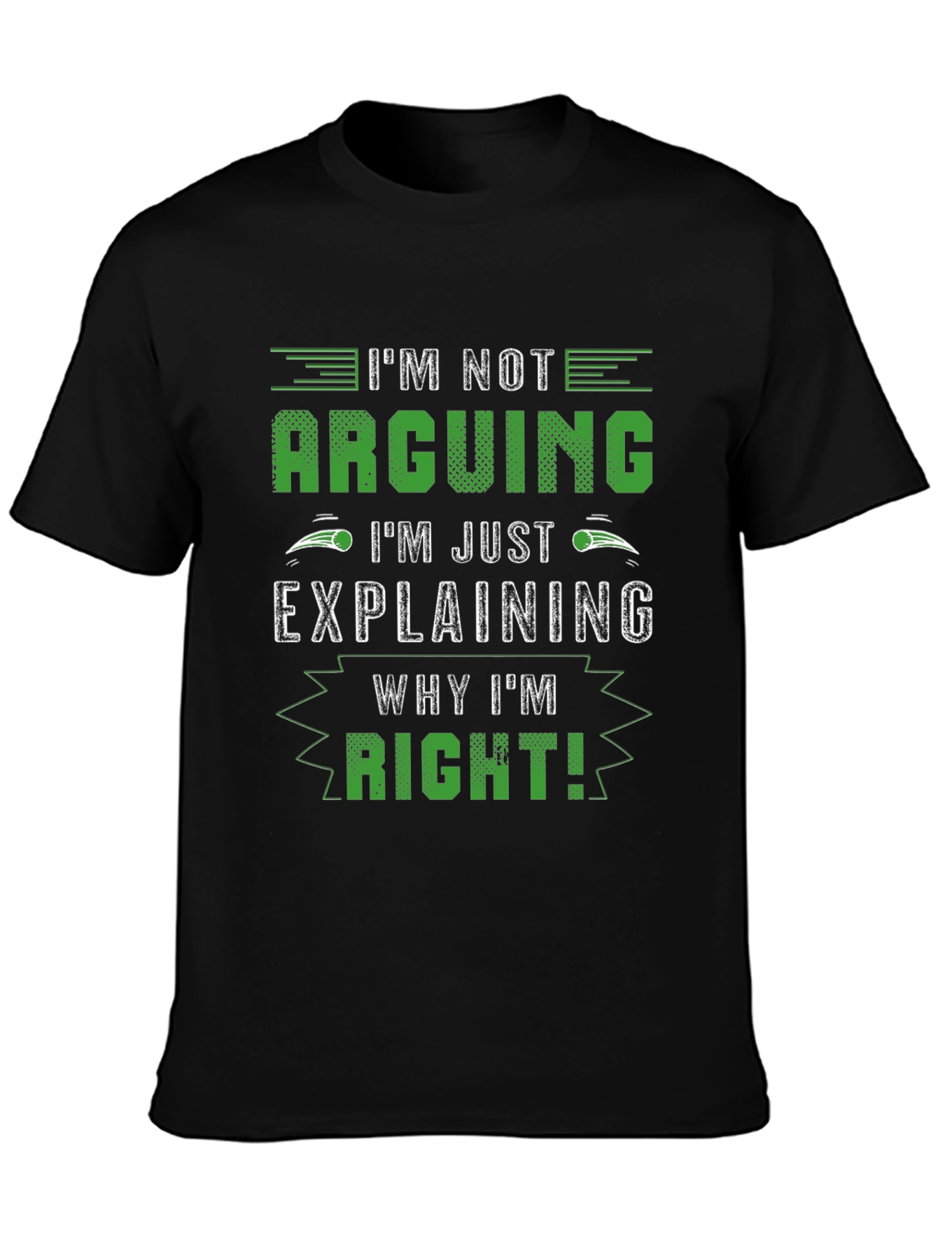 Im Not Arguing Funny T-Shirt