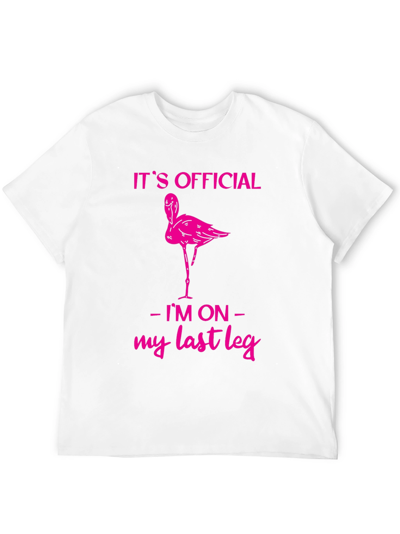 Funny Flamingo Last Leg T-Shirt