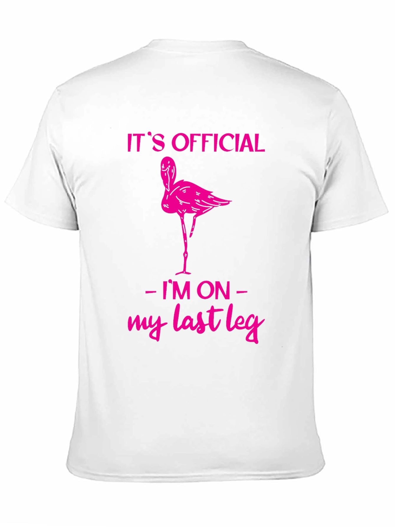 Funny Flamingo Last Leg T-Shirt