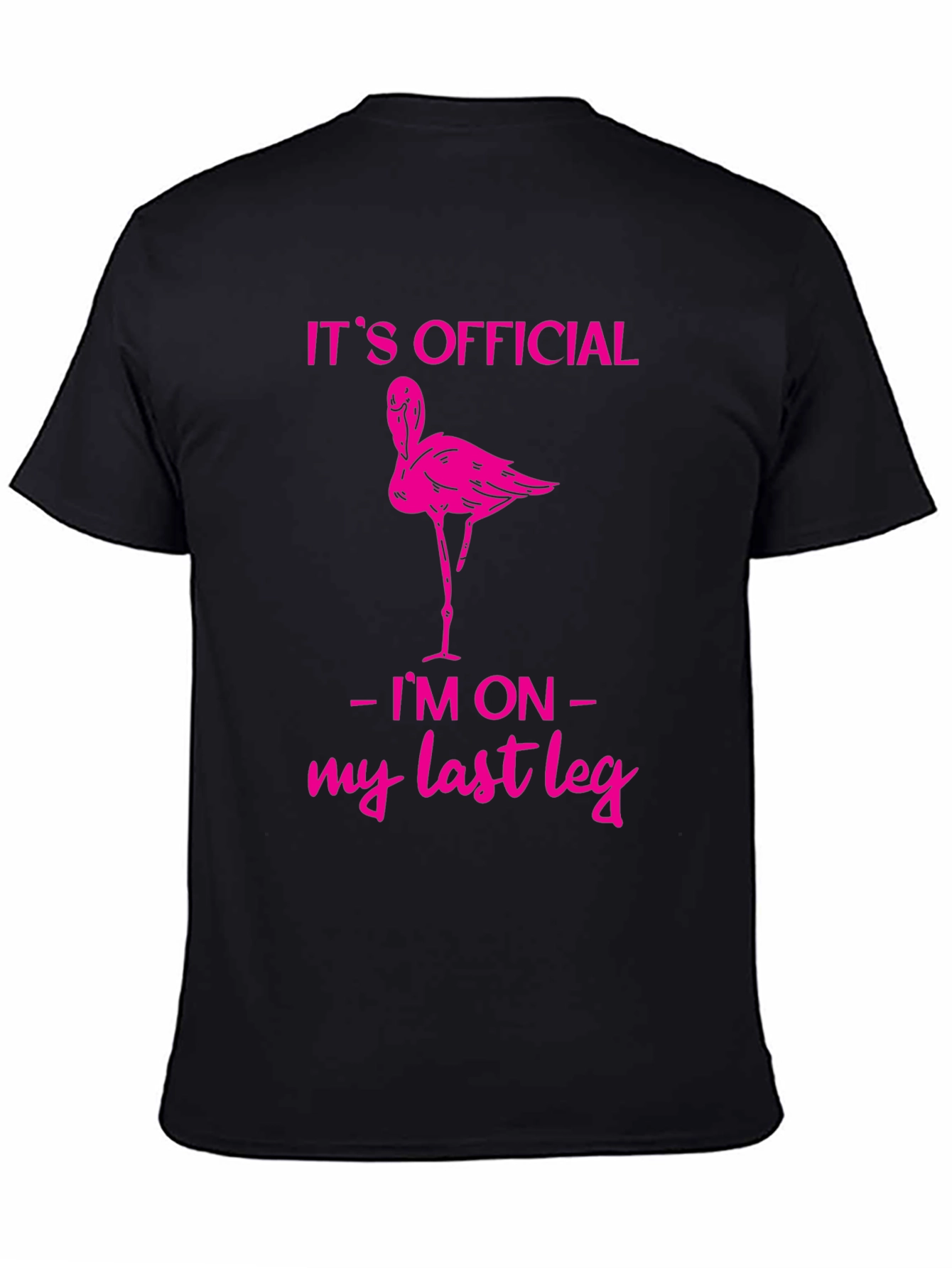 Funny Flamingo Last Leg T-Shirt