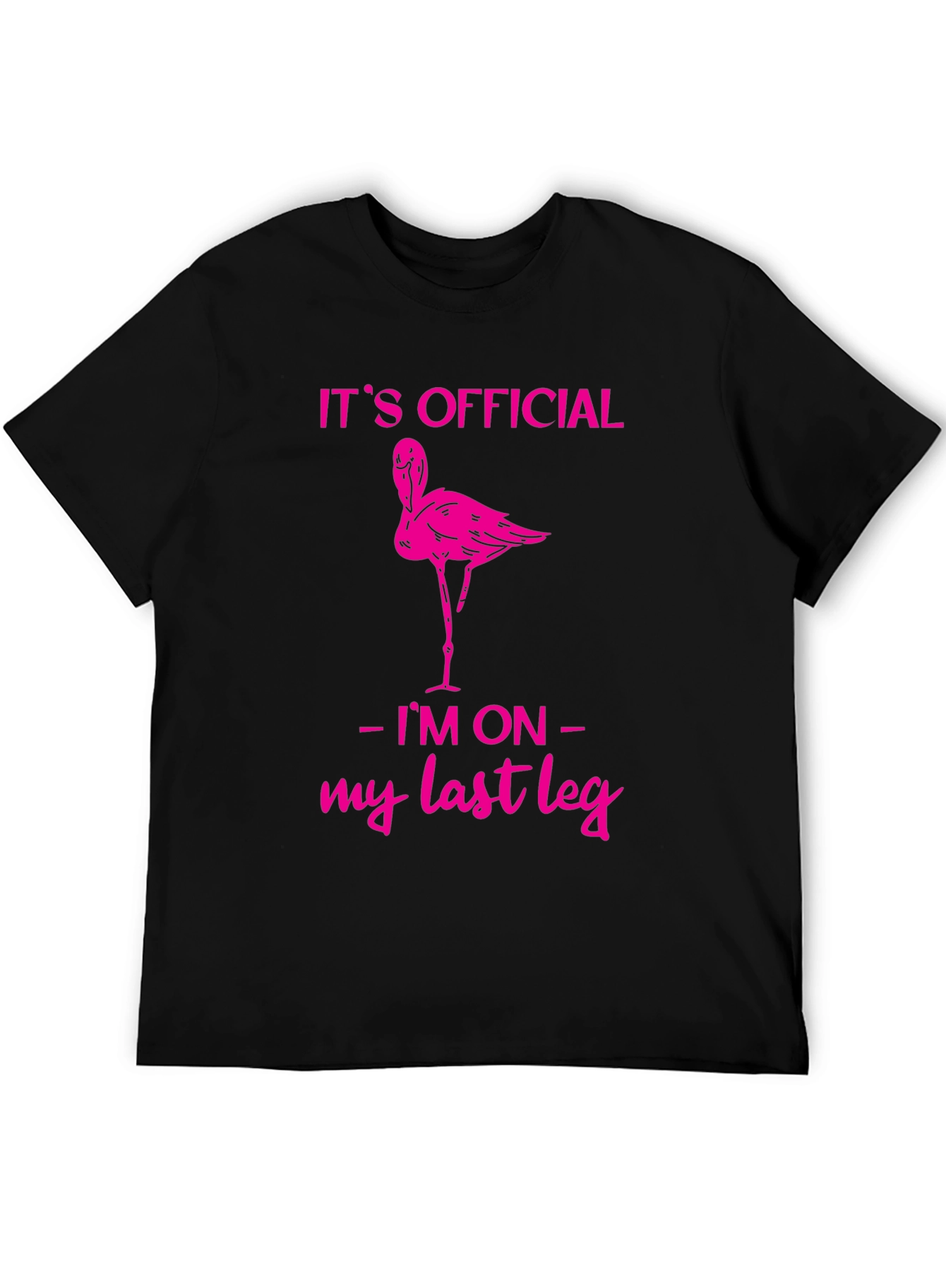 Funny Flamingo Last Leg T-Shirt