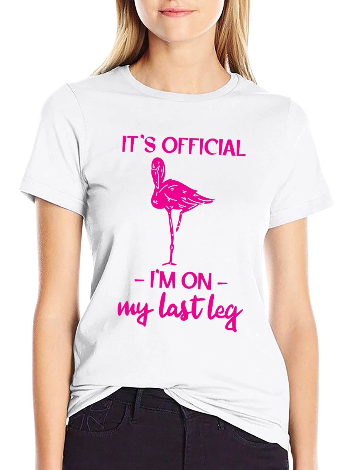 Funny Flamingo Last Leg T-Shirt