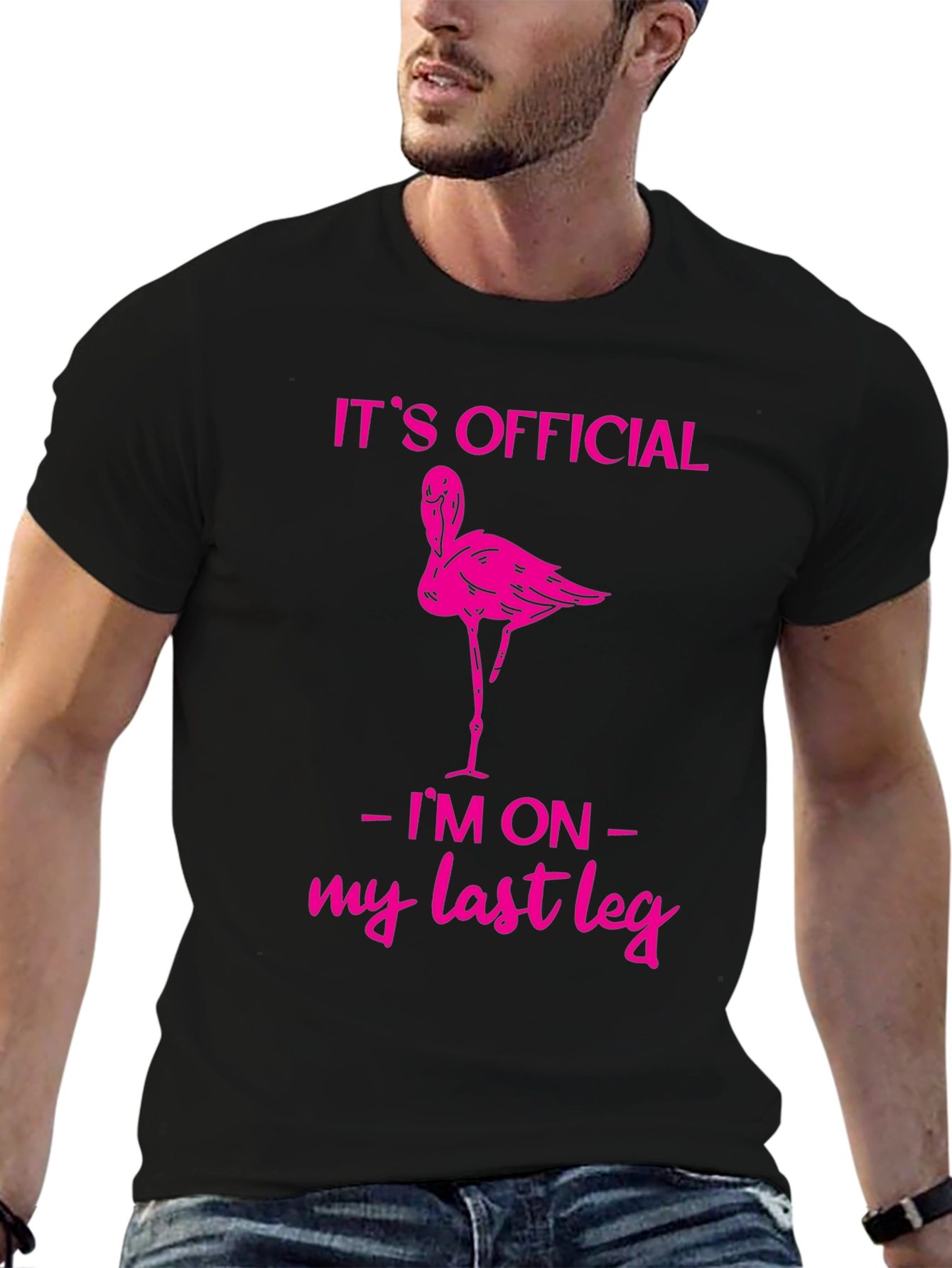 Funny Flamingo Last Leg T-Shirt