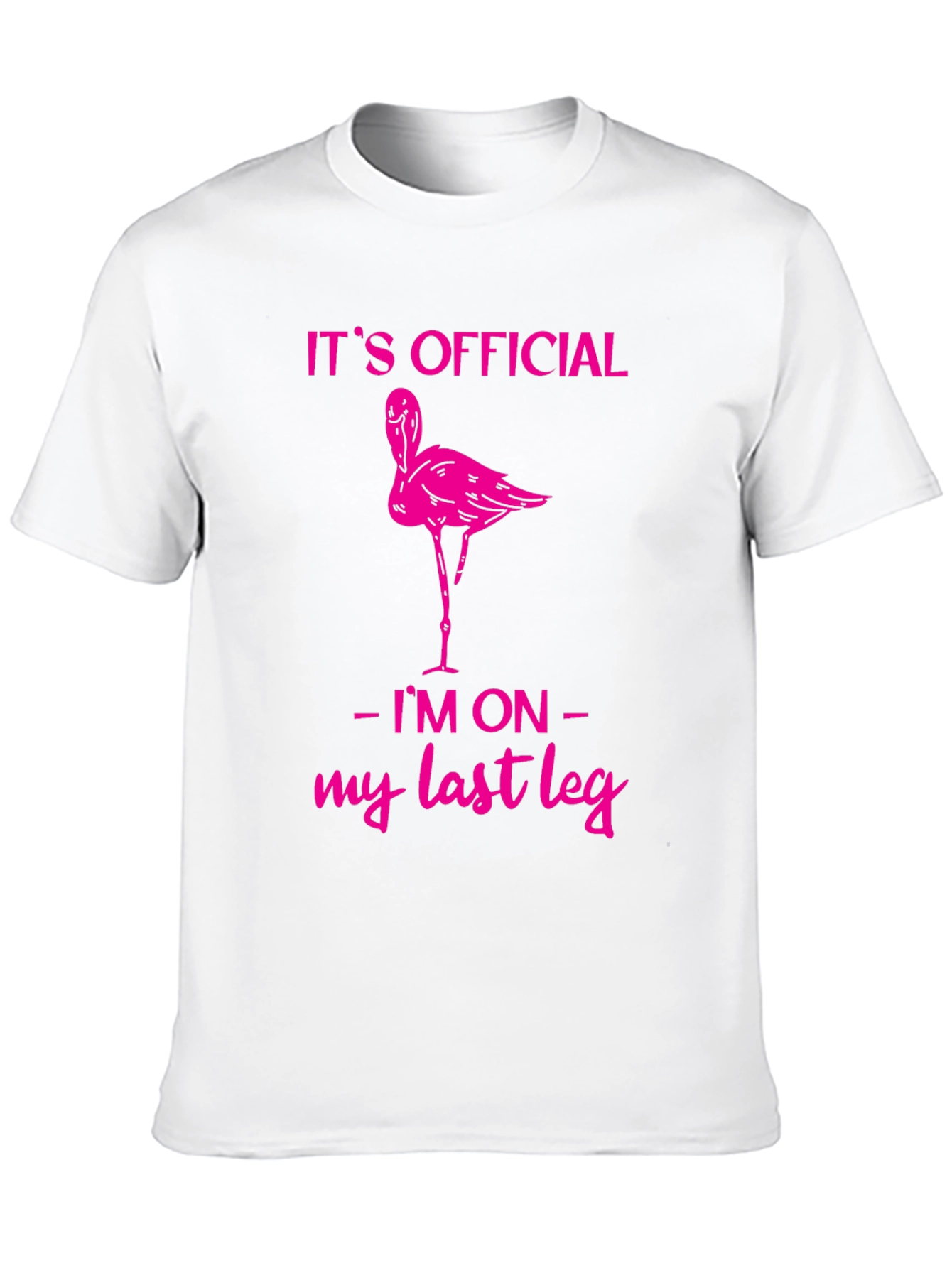 Funny Flamingo Last Leg T-Shirt
