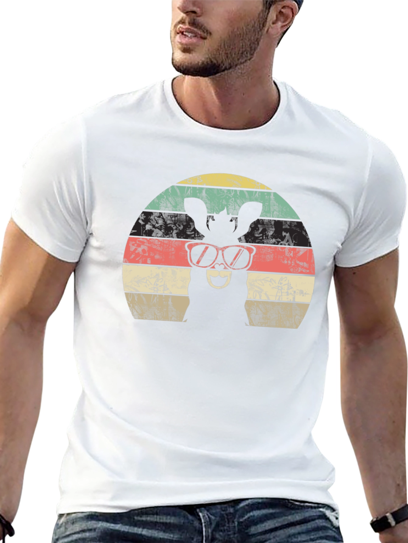 Cool Donkey Retro Sunset T-Shirt