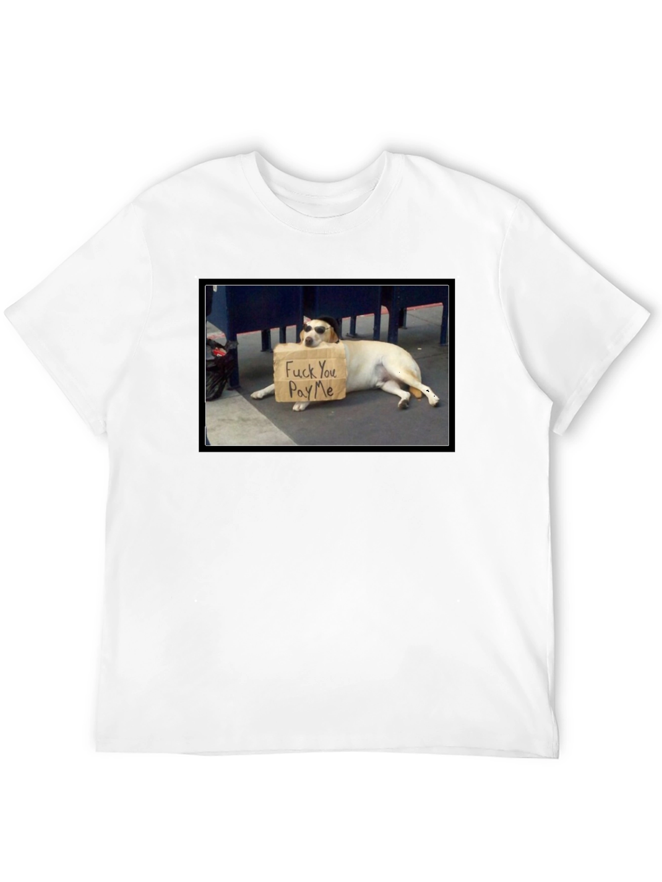 Funny Pay Me Dog T-Shirt
