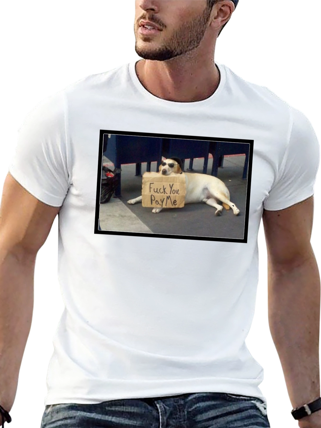 Funny Pay Me Dog T-Shirt