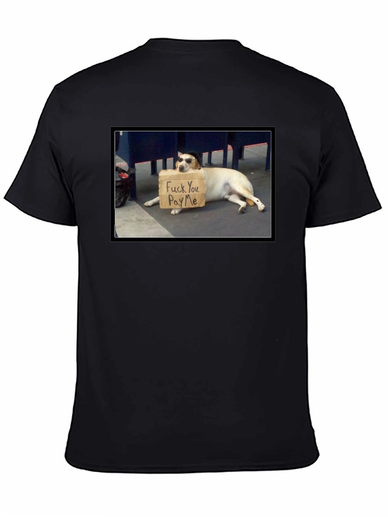 Funny Pay Me Dog T-Shirt