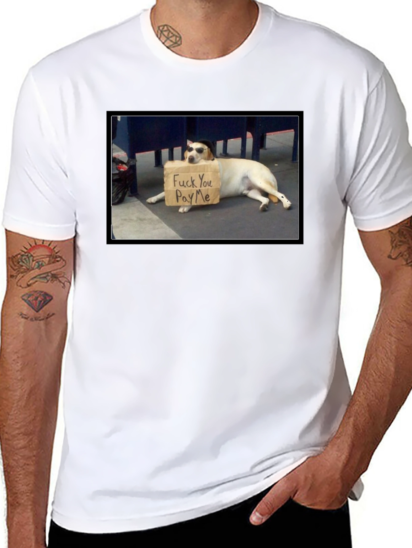 Funny Pay Me Dog T-Shirt