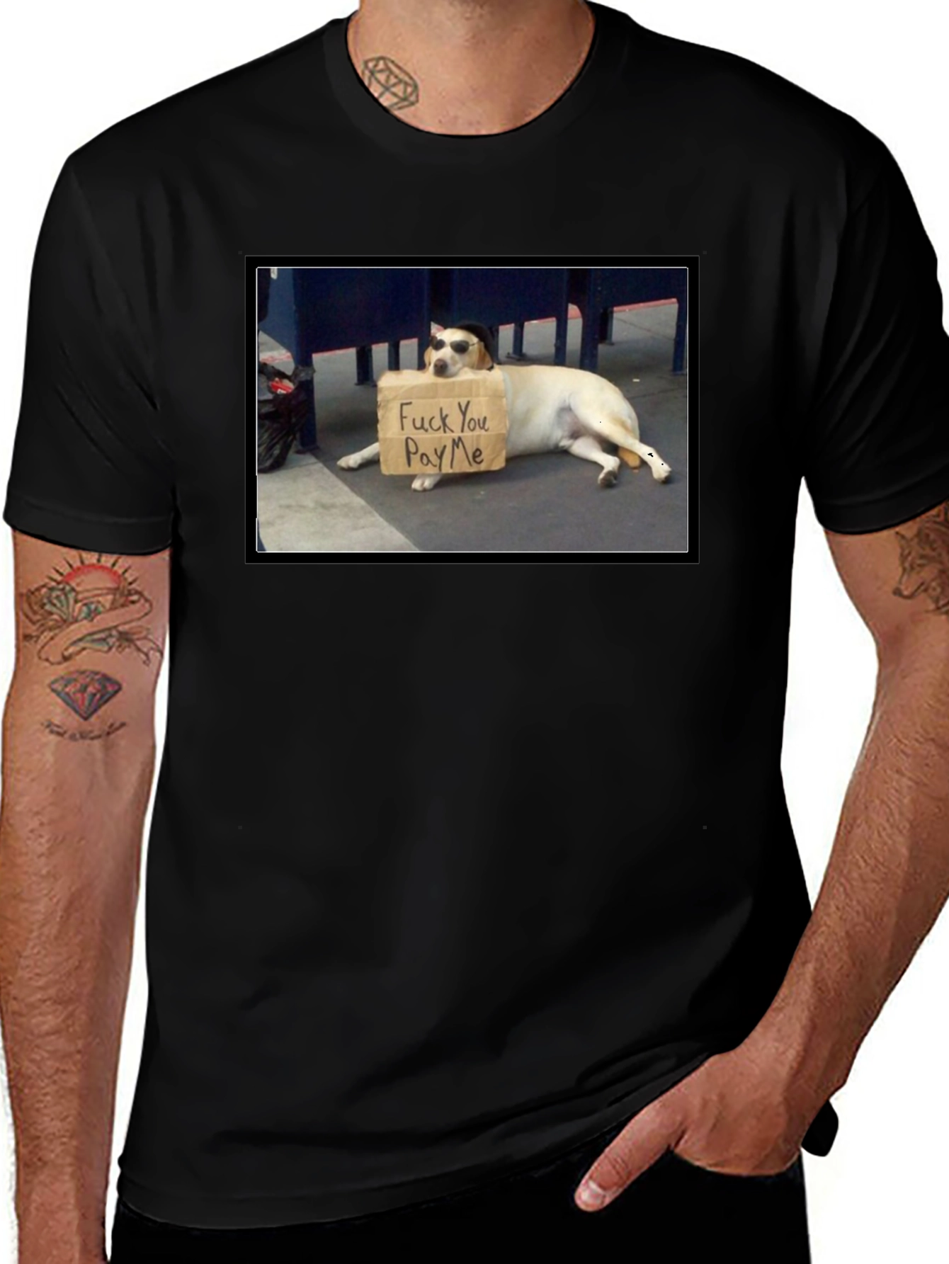 Funny Pay Me Dog T-Shirt