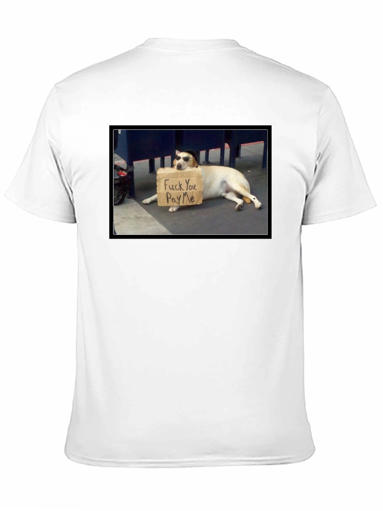 Funny Pay Me Dog T-Shirt